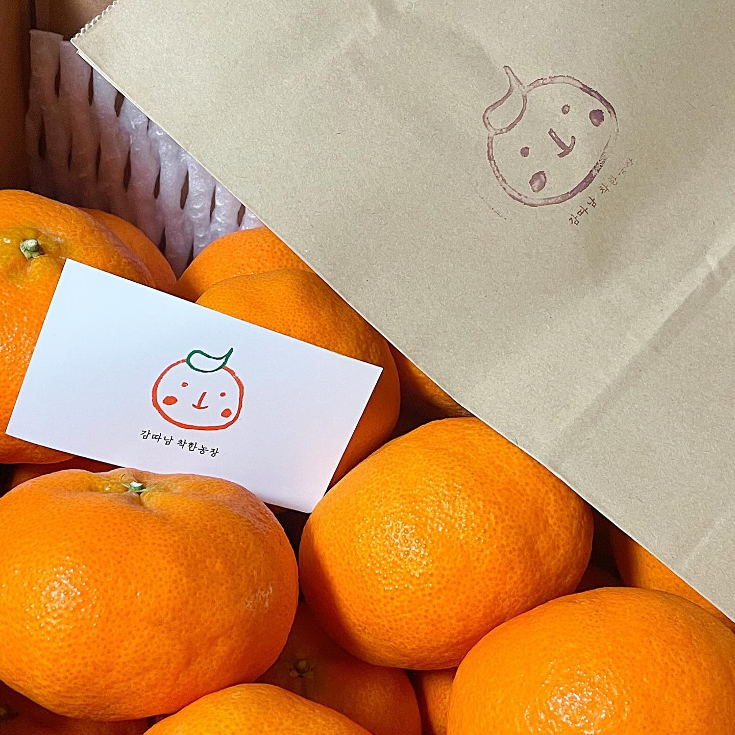 새콤달콤한 감따남 레드향🍊
저번에 주문한 귤 다먹고 레드향까지 주문했는데 넘나 맛있는 것
애정하는 감따남은 지금 #한라봉체험 시즌인데
현생이 바쁜 분들 네이버 스마트스토어에서 #레드향 #한라봉
주문하면 신선한 제주도의 향을 집에서 느낄 수 있다는!!!
맛보장!👍🏻 신선함보장!👍🏻 맛잘알 돼지 아뇨으니가 인증함다

#제주여행 #감따남 #서귀포카페 #중문카페 #레드향직거래 
#한라봉판매 #감따남착한농장