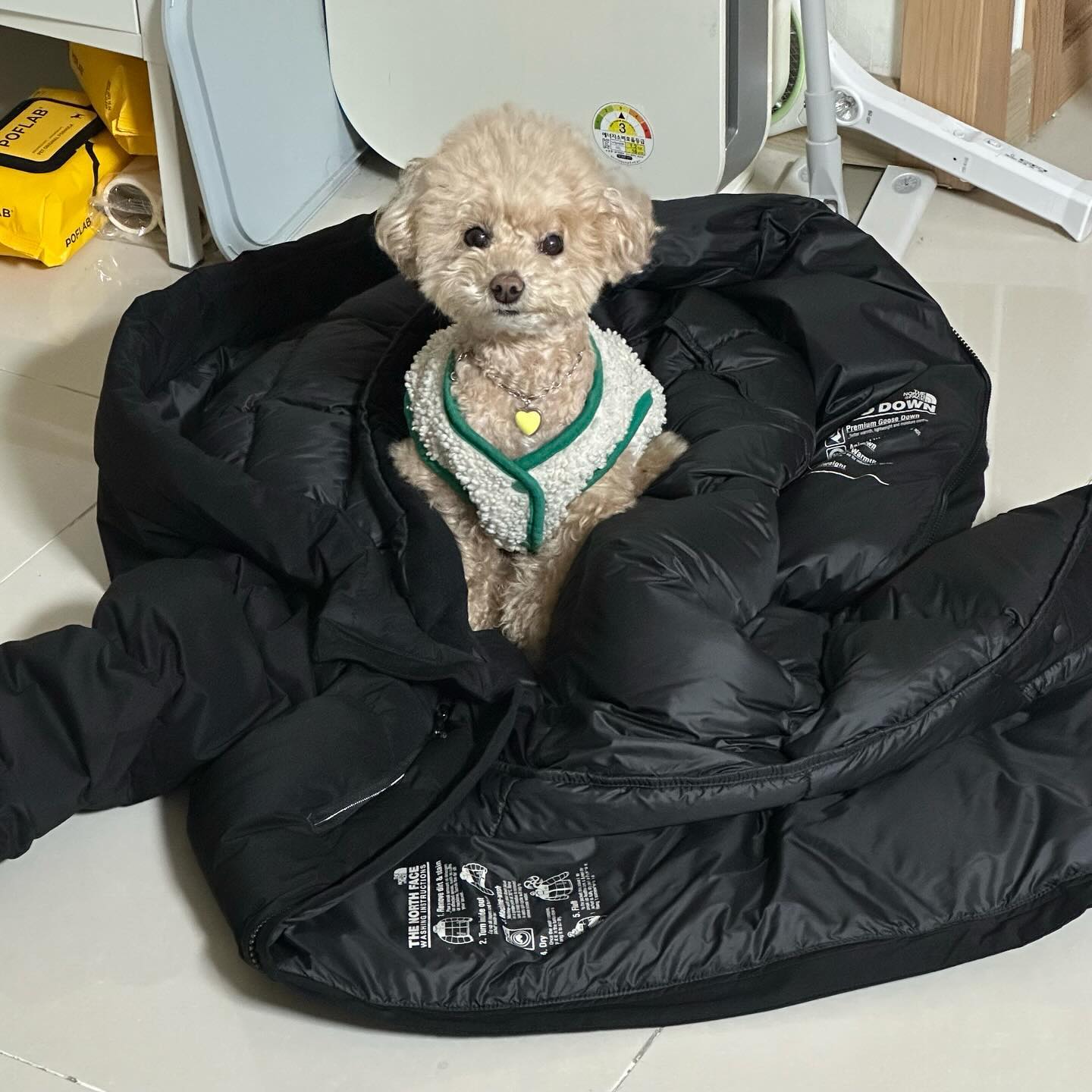 엄마 운동 안가고 구냥 나랑 삐삐기하고 놀면 안대까🥺
#응안돼