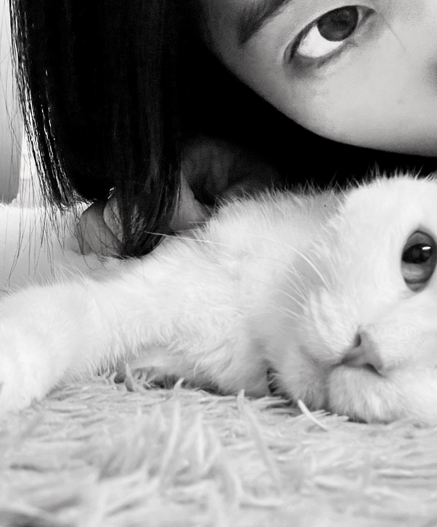 🐱meow