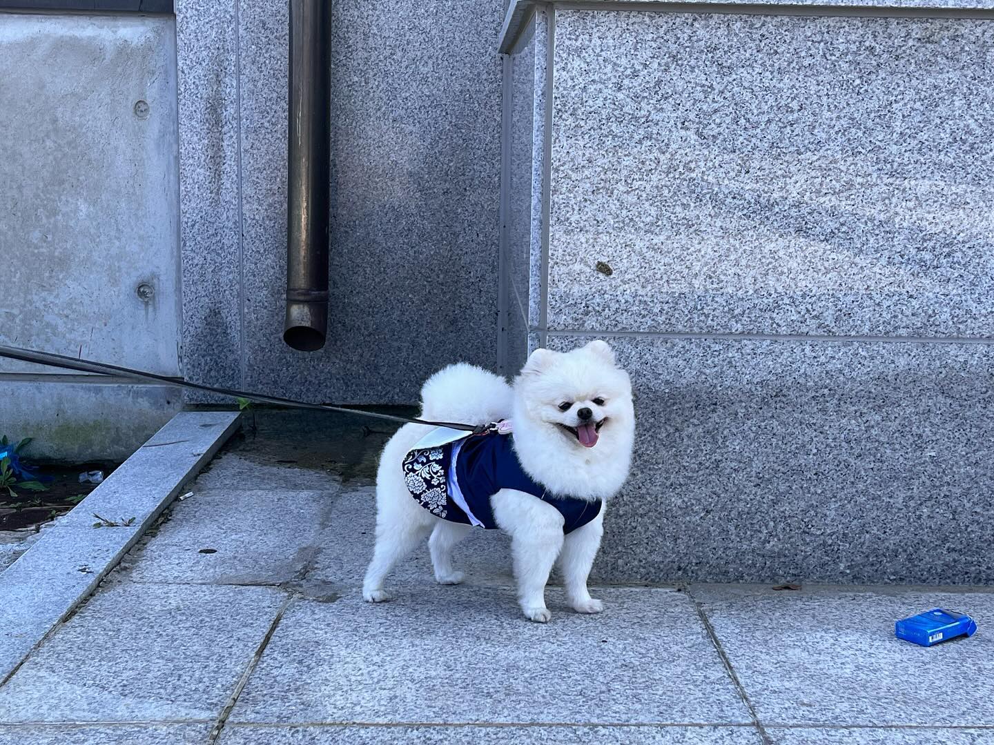 우리 달이 왕쟈님 👑💕