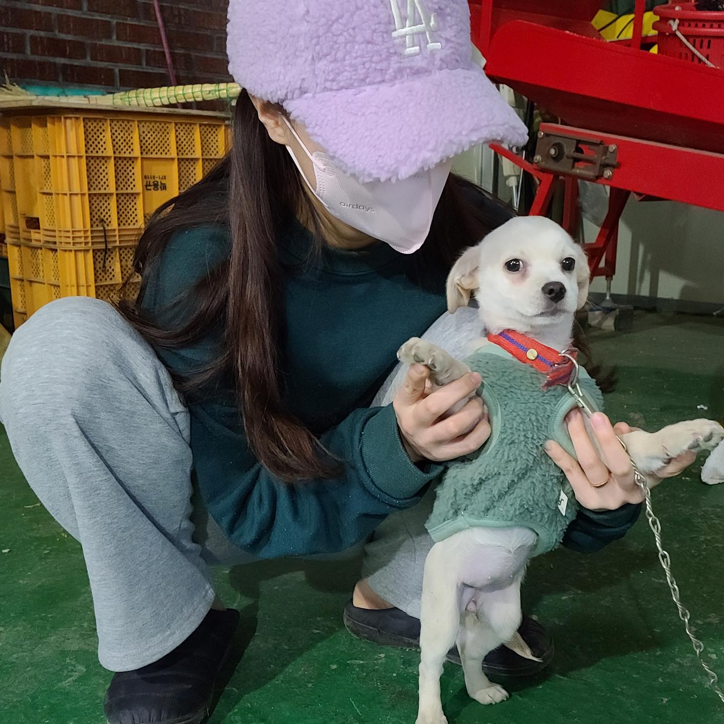콩순이도 귀엽지만 우리 돌순이 젤 사랑해🫶
