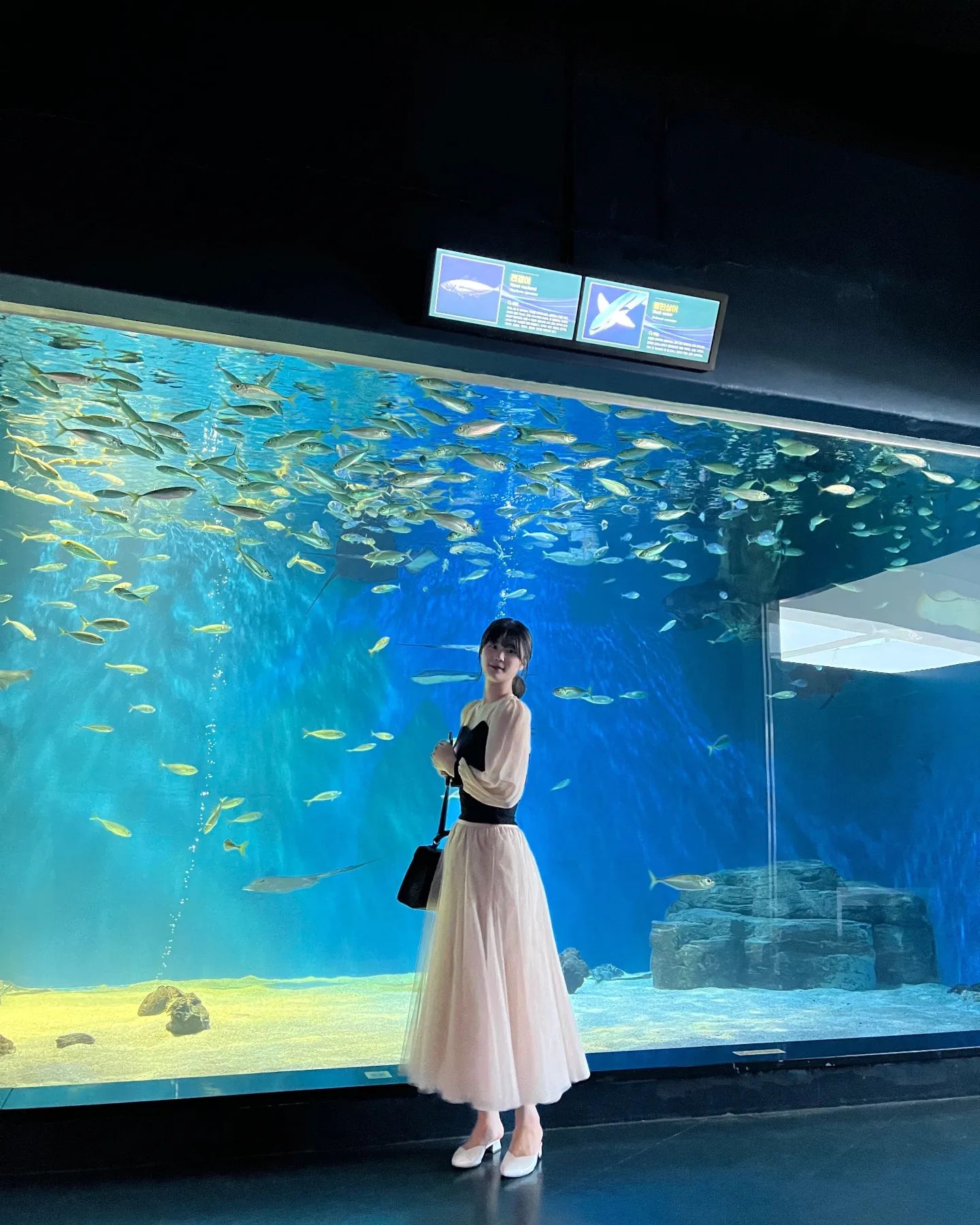 횟감 재료 🐟
