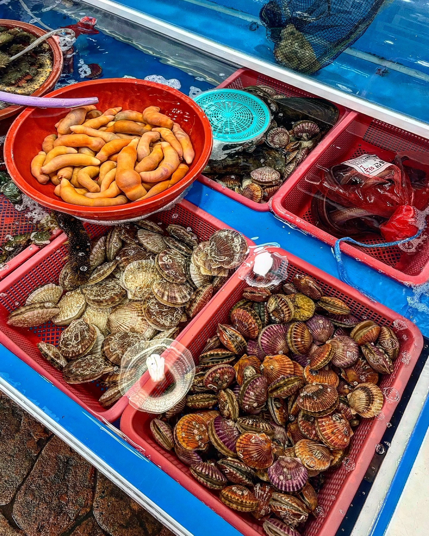 남해 해산물 짱짱 🐙🦑🪼🦐🦞🦀🐡🐠🐟🐬🐳🐋

#또리먹방 #해산물 #바다친구들 #남해시장 #남해여행 #남해여행코스 #남해여행추천