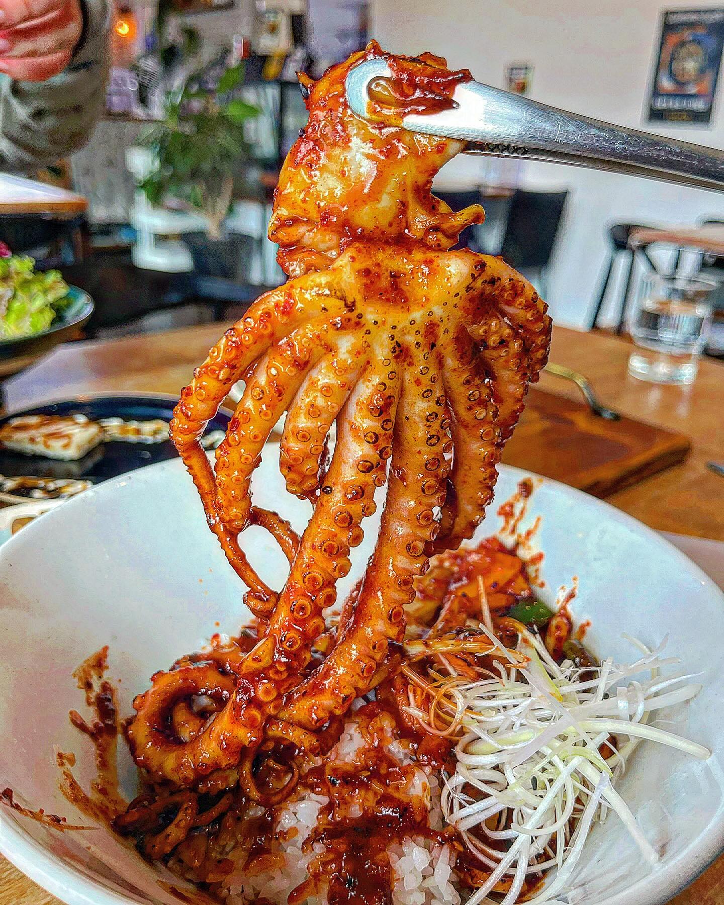 정갈한 한식 맛집 아라동에서 만나볼 수 있어✨

밑반찬부터 정갈한 매력에 빠져버리는데
저 두부튀김이 진짜 사르르,,, 감동🥺

커다랗고 통통한 낙지 한 마리가 통으로다가
은근 매우니까 맵찔이들은 주의 요망🔥

흑돼지 비빔 쌀국수는 내 최애 메뉸데
쫄깃한 흑돼지랑 매콤새콤 국수의 미친 조합

흑돼지 돌솥 덮밥은 추운 날씨에 제 격
마지막 누룽지까지 한 톨도 놓칠 수 없어🌝

아라동에 숨겨진 한식 맛집 메뉴도 은근히
다양해서 최애 메뉴 찾는 재미도 있다구✨

🏠시머폿
📍제주 제주시 인다1길 65 
🕰️11:00 ~ 20:30, 15:00 ~ 17:30 브레이크타임