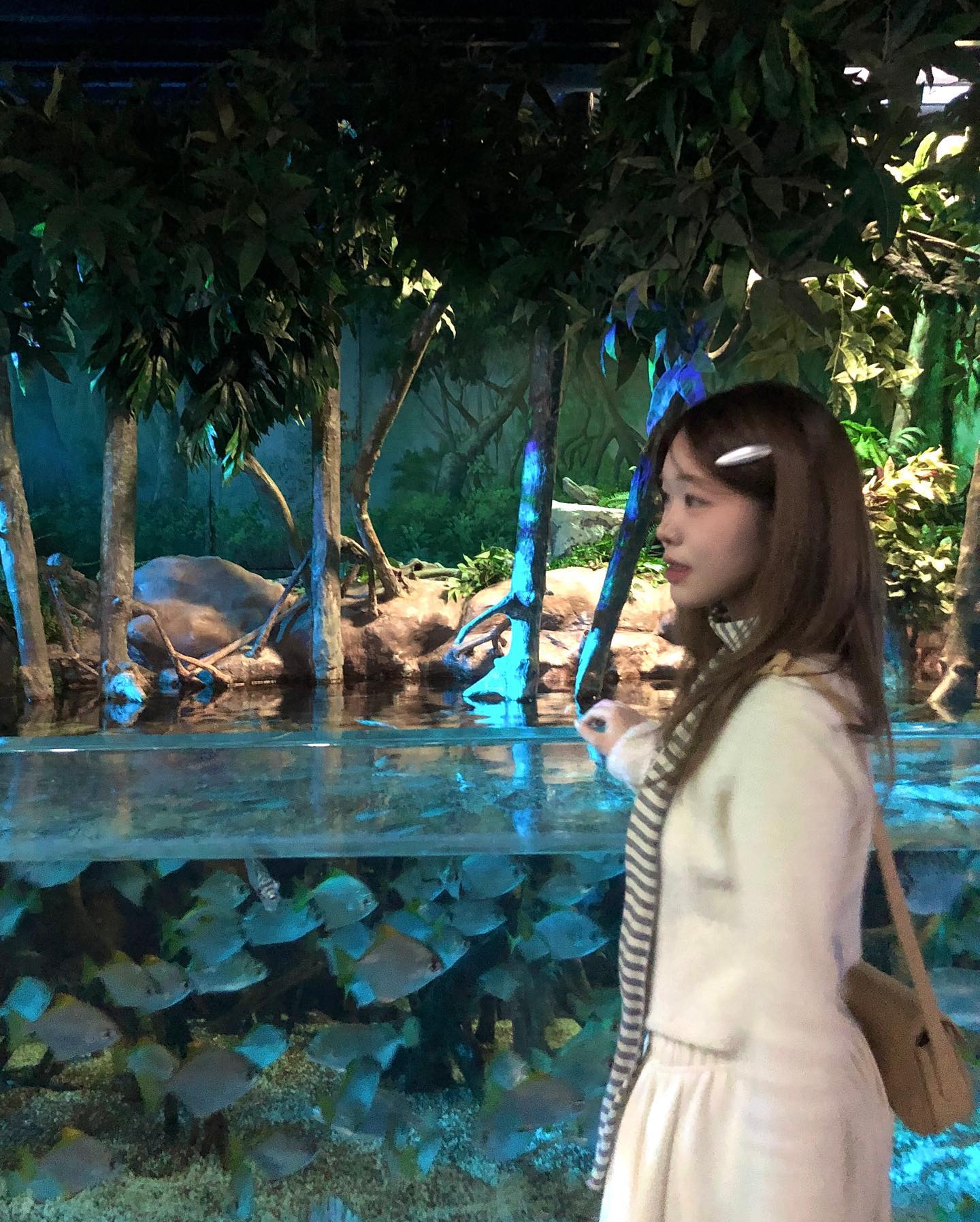 콘텐츠
