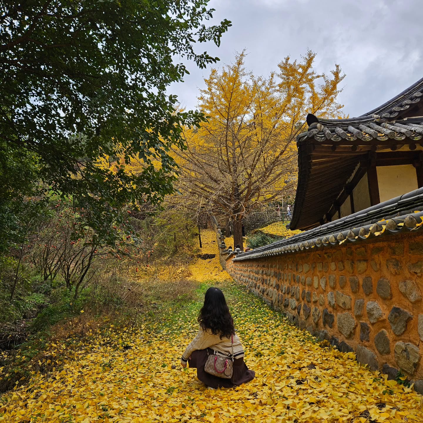 🍂

#20241117
#함안향교