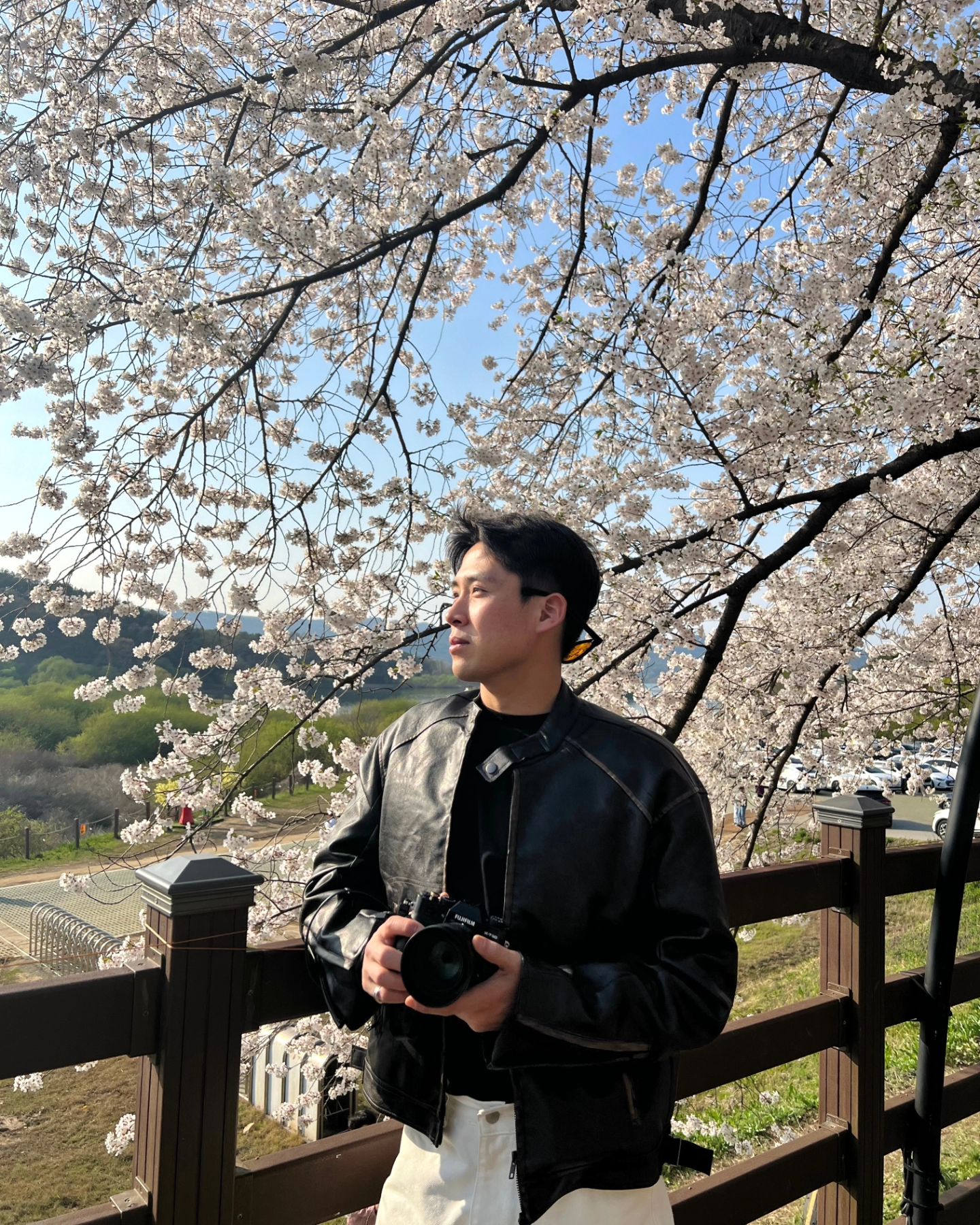🌸📸