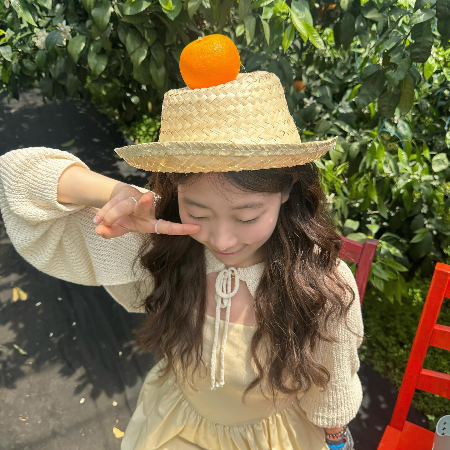 🍊in jeju🍊 #꽃귤농장 #카라향 
귤 인당 10개씩은 먹은듯😆 

#jeju #제주 #체험강추 #여행 #행복 #귤먹방 #🍊 #감성 #🧡 #노랑원피스