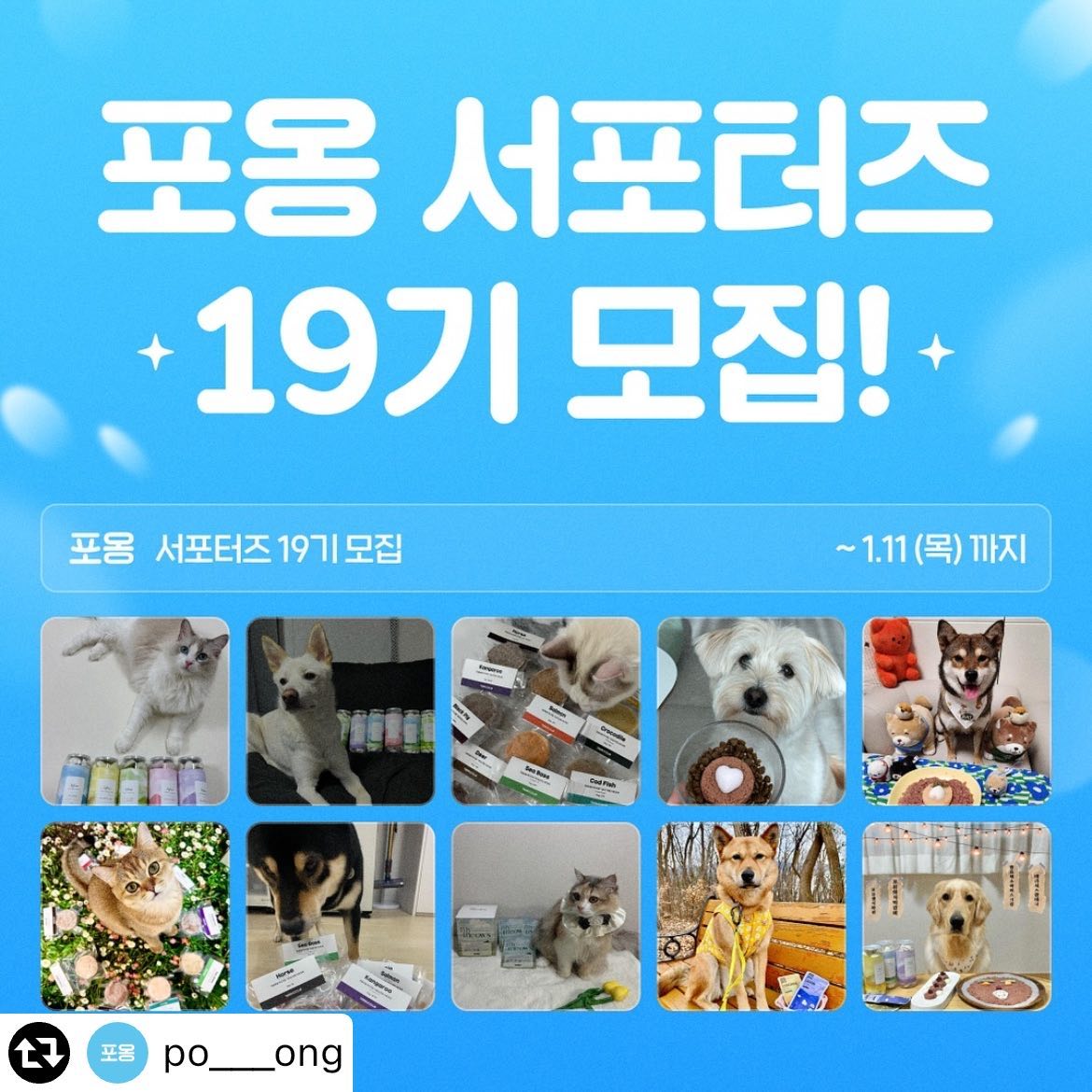 #리그램 - po___ong by get_multi_repost
#포옹 #서포터즈 
2024년을 맞이하여 더 풍성하게 돌아온 포옹 서포터즈, 19기 10명을 모집합니다 🎉

💎 총 100만원 상당의 포옹 제품 지원!
💎 최대 20만 포옹 앱 포인트 지원!
💎 포옹 신제품 평생 무료 체험! 
💎 포옹 명예 서포터즈 신청 자격 획득!

서포터즈 활동은? 👉 10주간 매주 포스팅 1회!

본 게시물 리그램하고 신청 이유 댓글로 남기면 포옹 서포터즈 19기 지원 끝 👏 (친구 소환으로 서포터즈 모집 소식을 소개해주세요 😄)

📍1/2 ~ 1/11 : 서포터즈 모집
📍1/12 : 선정 결과 발표
📍1/15 ~ 3/24 : 서포터즈 활동 (10주)
