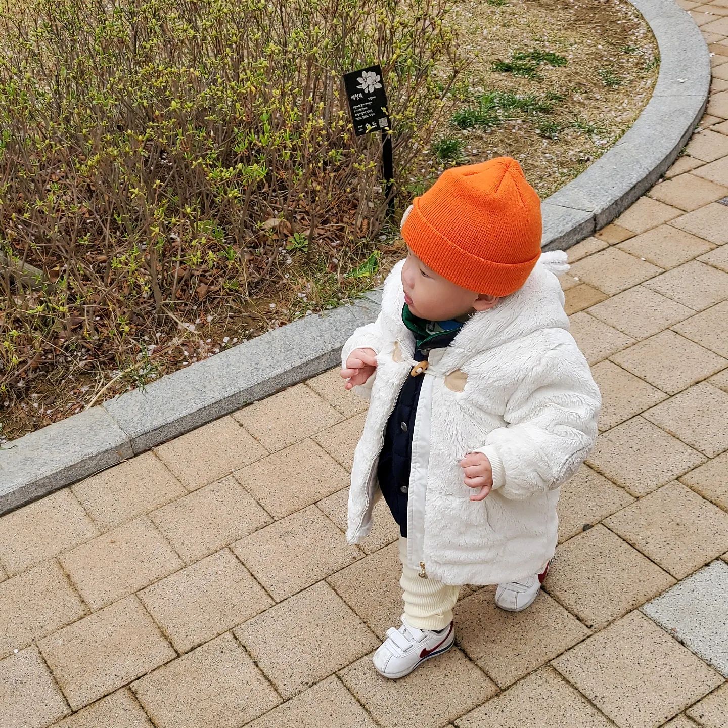 하원 후 약국 가는 길 .. 멀다멀어 🥹 가다가 결국 안고 후다닥 !! 😇

1. 두리번 두리번 앞으로 질주
2. 바닥에 떨어진 벚꽃과 돌맹이 구경 중, 하교하는 누나형 보는 중
3. 멍멍이랑 비둘기 보고 초집중

#512일 #흰소띠아가 #어린이집 #하원 #하원후일상 #걸음마 #성오의기록