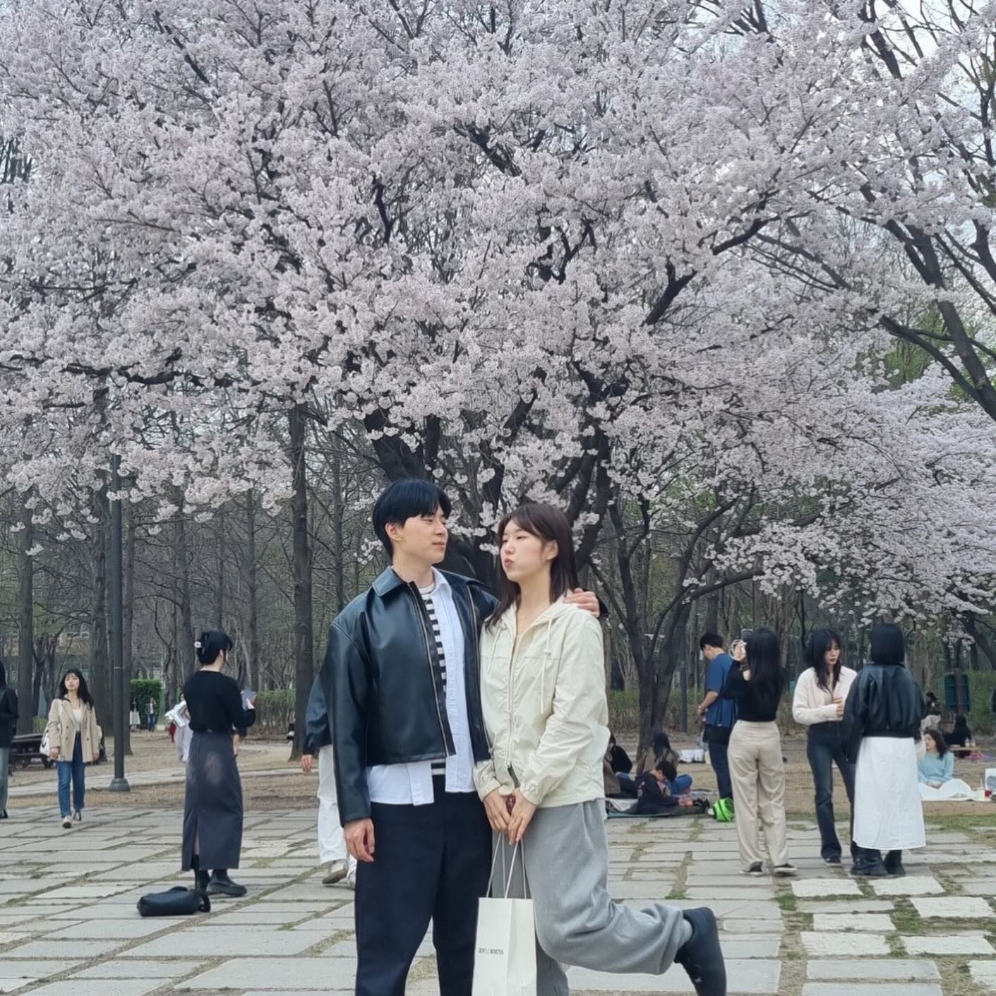 봄날씨는 역시 동네에서 즐겨줘야됴 🌸