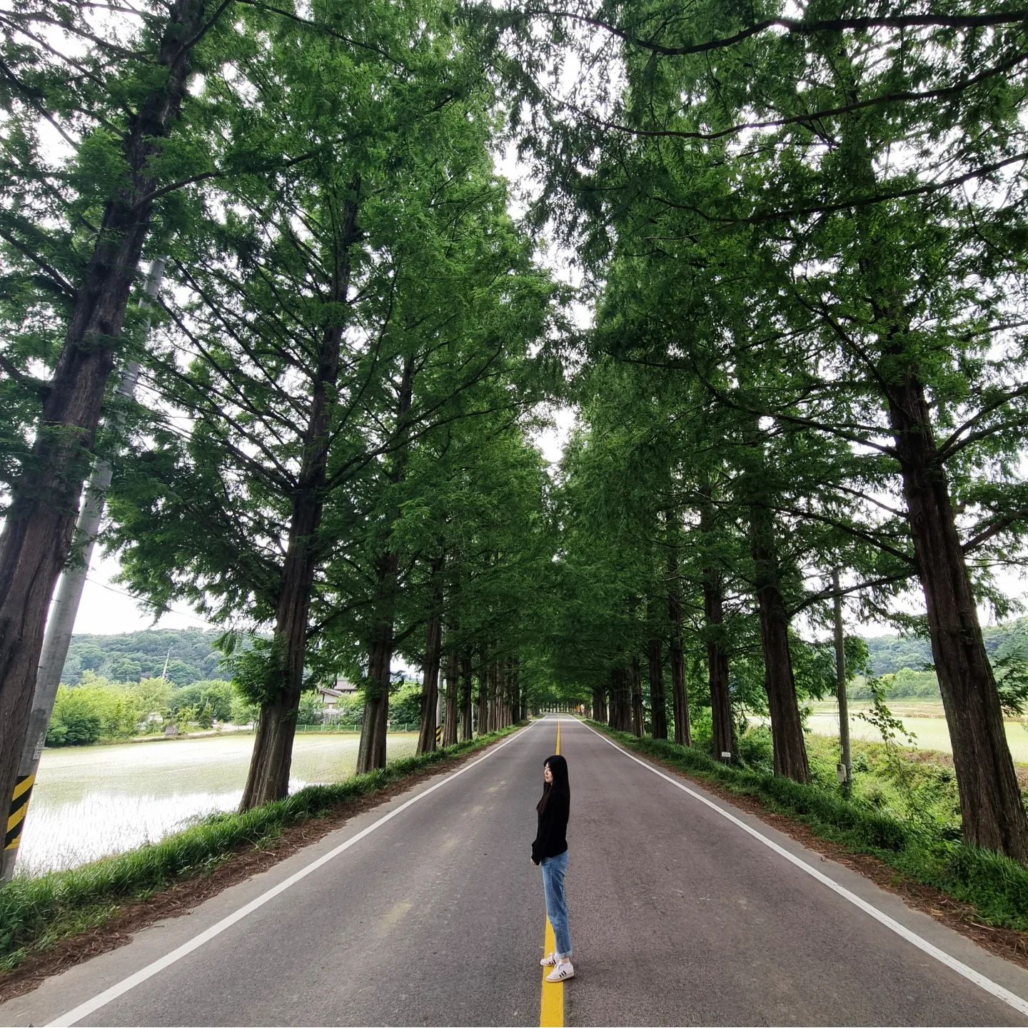 🌳
올 여름 더무 덥다😅😅

습한거 언제 사라지는거지?!
습한것도 더운것도 너무 싫어~~
.
.
.
.
.
.
#여름