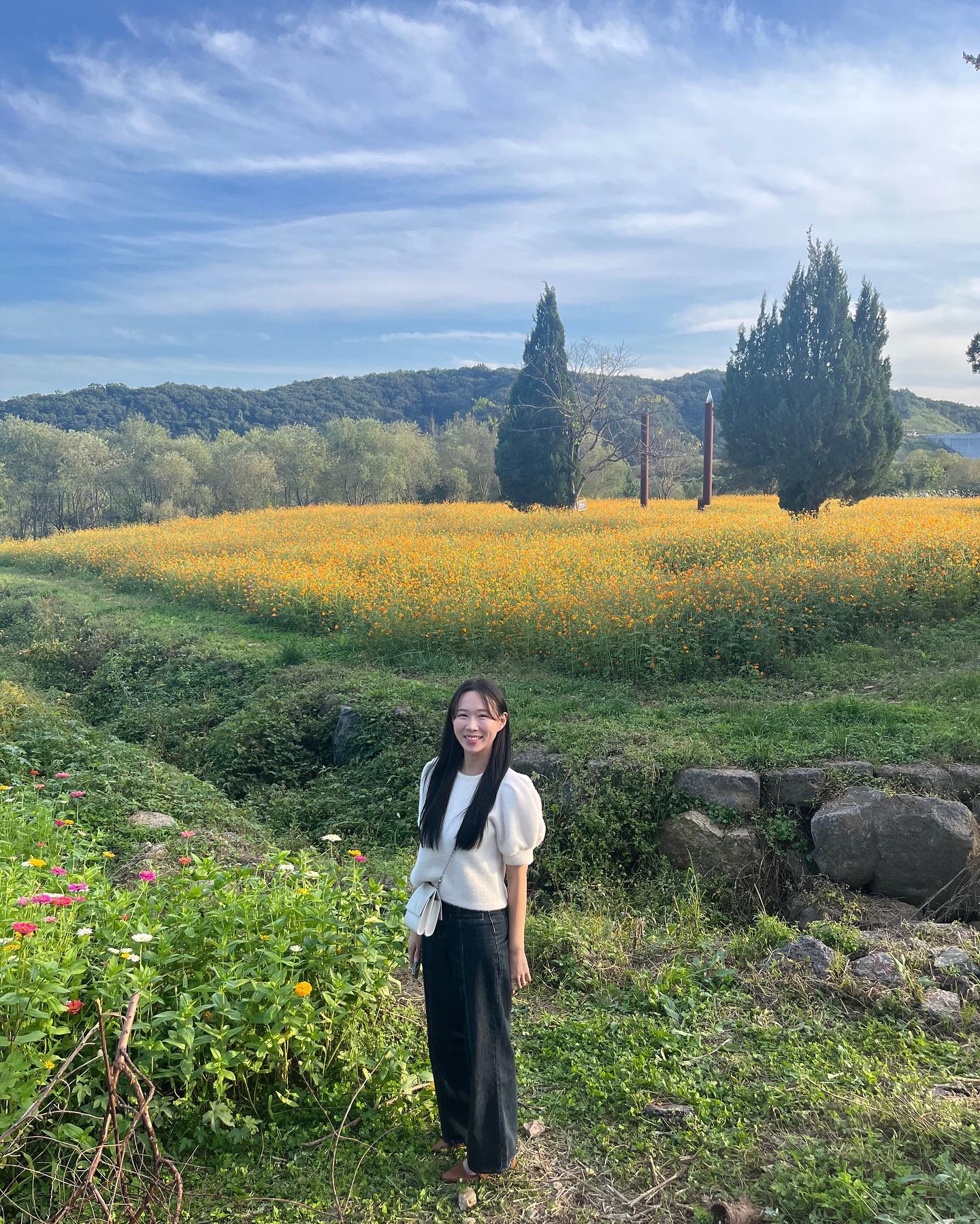코스모스 심느라 힘들었겠다💭