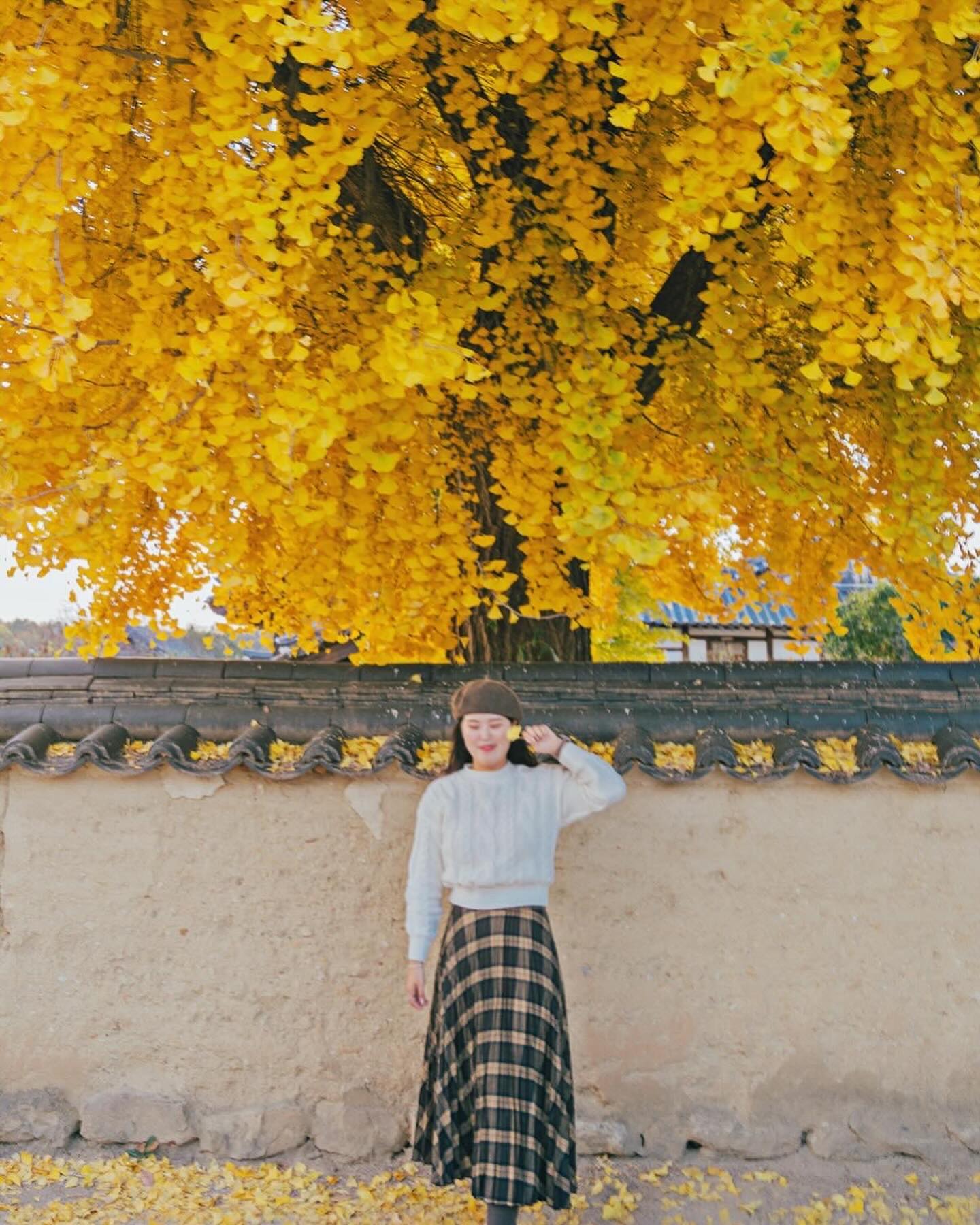 -
다양한 유네스코 세계유산 관광지를 보유한 안동 🍁
더 늦기 전에 알록달록 단풍잎, 은행나무 등
아름답고 한국의 가을을 느낄 수 있는 국내 여행지
고즈넉한 경북 안동으로 떠나보기 ◡̎

▪️안동하회마을
▫️도산서원
▪️봉정사
▫️월영교

#YEON_travel
#YEON_안동