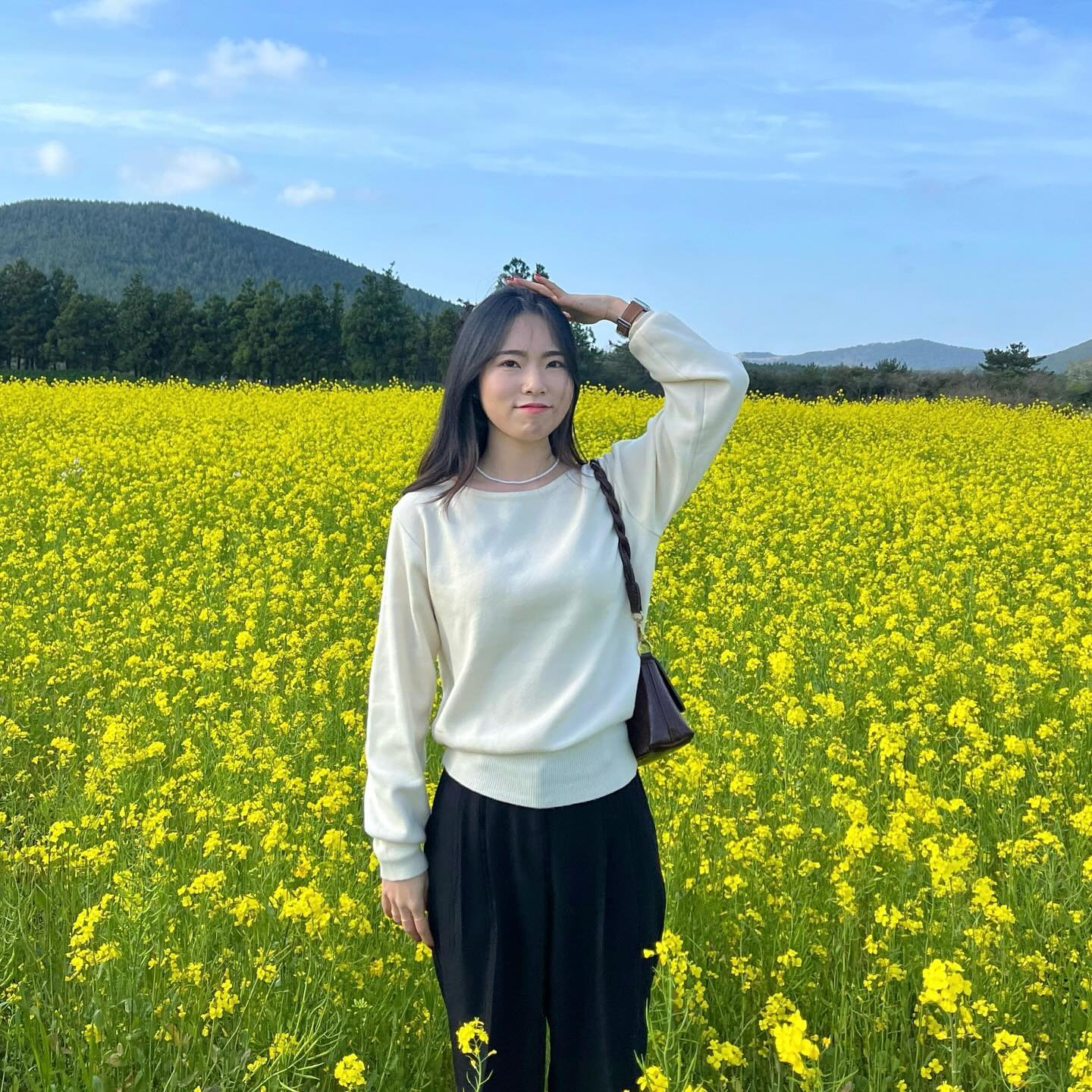 🔅제주랑 유채랑🔅
