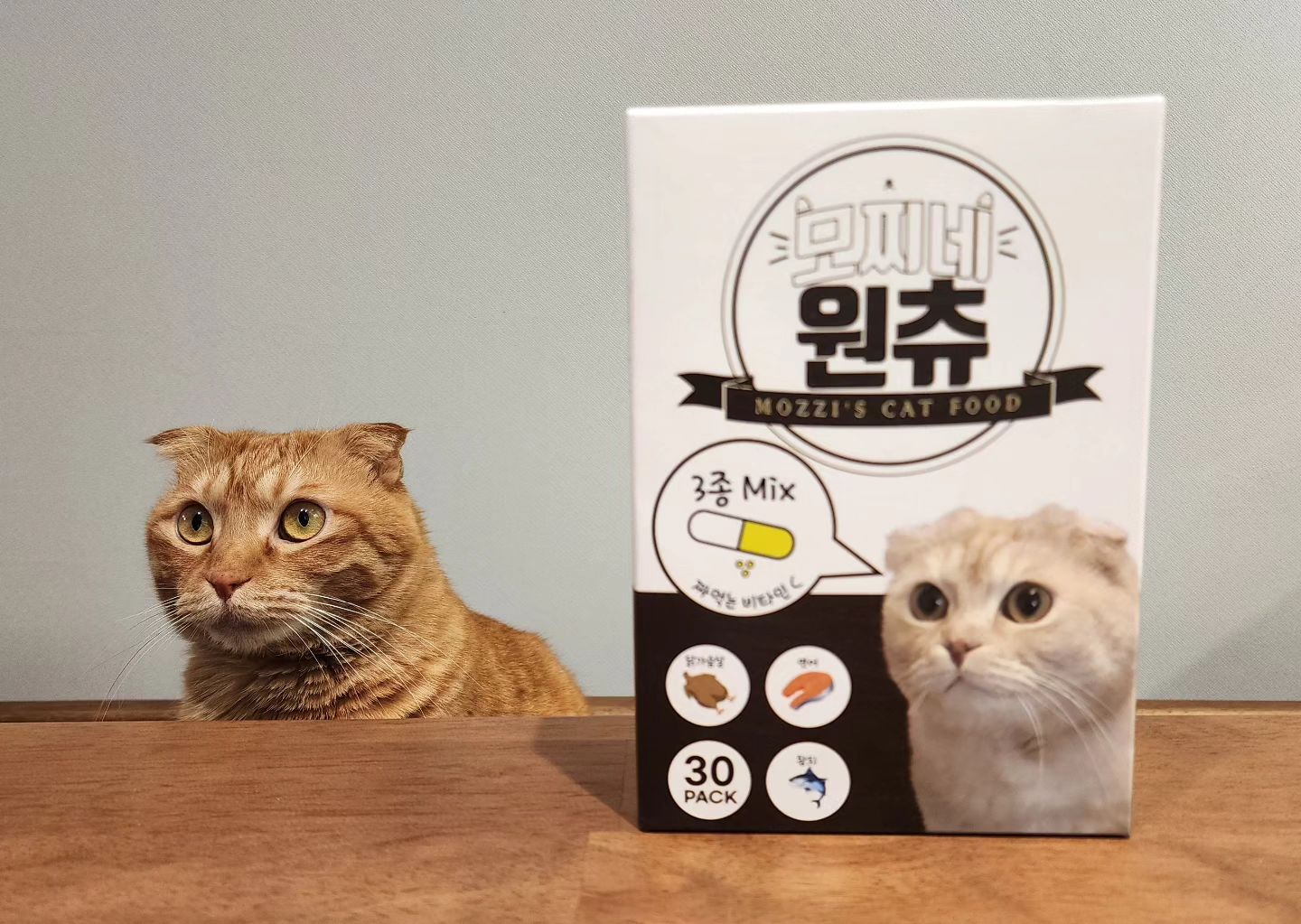 [협찬] 짜지 않고 맛있는 고양이 츄르 모찌네 원츄 닭가슴살, 참치, 연어 세 가지맛👋 It’s not salty, It’s a real cat snacks churu 

맛있고 건강하게 먹일 수 있는 고양이츄르는 없을까?
토토네가 인생 츄르를 찾았습니다🥹
짜지 않고 건강한 고양이간식, 모찌네 원츄!🫶

🍍 인공적인 염분은 들어가지 않은 건강한 간식
🍍 무방부제로 국내산 신선한 재료만 엄선하여 만든 간식
🍍 닭가슴살, 참치, 연어 세 가지로 아이들이 좋아하는 넘버 3!
🍍 타피오카, 당근, 브로콜리, 비타민C가 들어있어요
🍍 츄르 통째로, 사료나 캔 위에 토핑으로, 물에 섞어서 급여하세요
🍍 한 봉에 15g으로 넉넉한 양!

토토네는 해산물은 좋아하지 않는데요, 
연어 간식을 먹은 것은 모찌네 원츄가 처음이에요👍
입맛 까다로운 아이들도 잘 먹는 짜먹는간식 모찌네 원츄!
(참치는... 고기라고... 합니다ㅋㅋ😔)

❤️15g x 30p를 구입하시면 서비스로 3p를 추가 증정하고 있어요!
맛있는 모찌네간식 모찌네원츄를 구입하시려면 이쪽으로🧚‍♀️
https://naver.me/xmt4hD5P

토토와 키위가 모찌네 원츄를 맛있게 먹는 모습을 모시려면 유튜브 채널 토토네토스트를 검색해주세요💛

#모찌네원츄#고양이츄르#고양이습식#고양이스틱#모찌네#모찌네모래#모찌네간식#모찌네츄르#짜먹는간식#건강한츄르#국내산츄르#토토네토스트#totostoast#catsnacks#churu