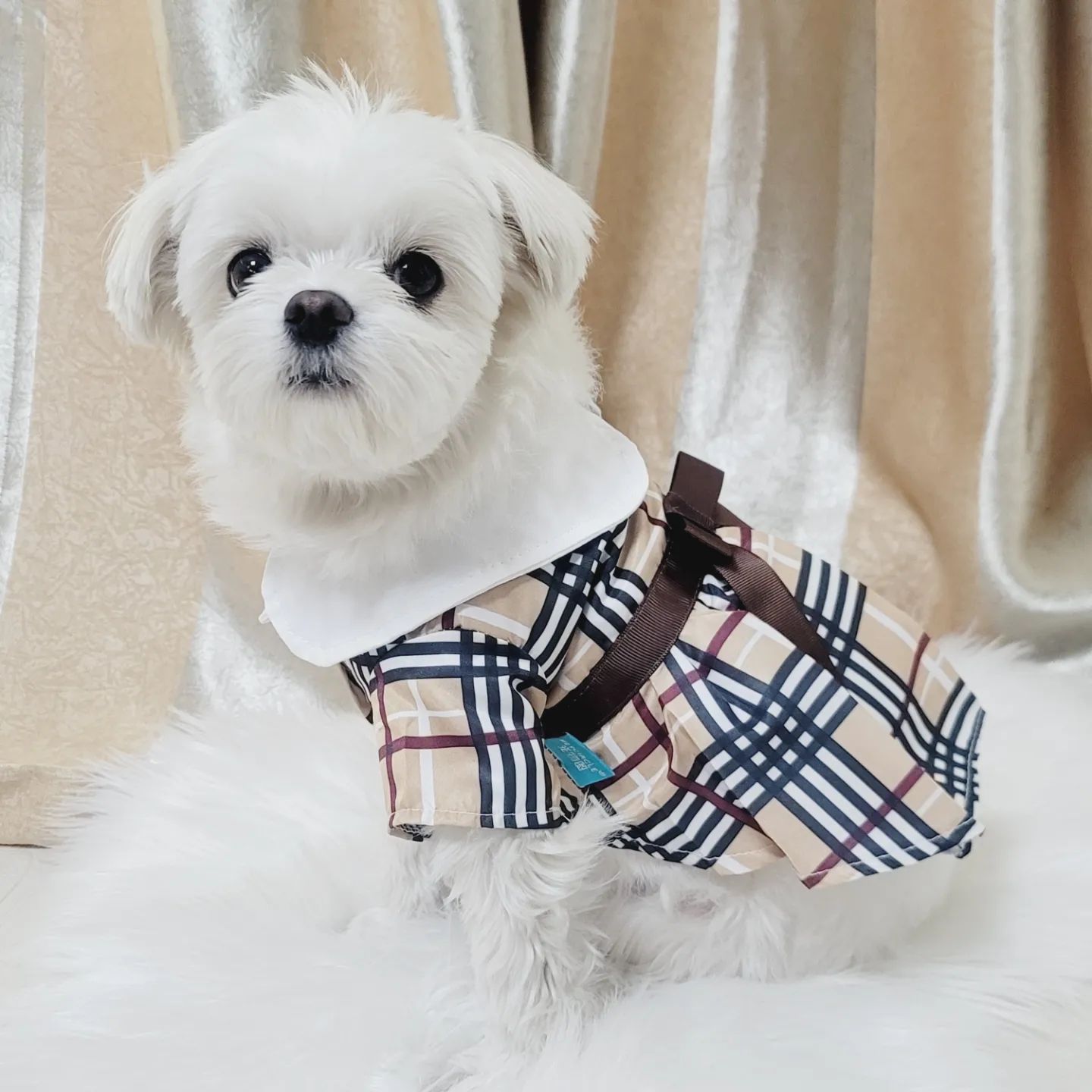 #협찬 #냥츠 #체크원피스
새옷을 입고 뛰어보자 폴짝🦘
새옷입구 한강가서 폴짝폴짝 뛰어놀구와따🤩

날이 옴총 따셔지고있는게 느껴지는데
예쁜 봄여름 체크무늬 리본 원피스입구
욜띠미 뛰뛰하구 맘마도 먹고와떠!!🐕

무늬도 이뿌고 등에 리본 뽀인투도있고 앞모습도 카라가 있는게 넘나 이쁜데❤️ 가격이 차캐😃 가성비 좋은 강아지옷이야!!👍

스판끼 없는뎨도 옷이 낙낙하고 예쁘게 떨어져서 핏도 이쁘구 끼임이나 불편함 없이 냥냥이 칭구들도 멈무친구들도 예쁘고 편하게 입을 뚜 있는 옷이라규🙌

봄에입기좋은 예쁜 원피뚜 사달라하쟈😝
🏷냥츠 nyangt_s
#둥이네리뷰 #강아지옷 #반려동물 #애견옷 #원피스 #강아지봄옷 #강아지여름옷 #강아지원피스 #강아지예쁜옷 #강아지그램 #멍스타그램 #멍팔 #댕팔 #맞팔은댓글로남겨주세요😊