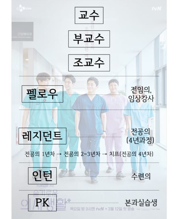 새로 의대생을 늘리자고?
누가 가르칠건데? 외국에서 데려온다구? 어디 한번 잘 데려와바라
외국의사들이 한국병원에?ㅋㅋㅋㅋ