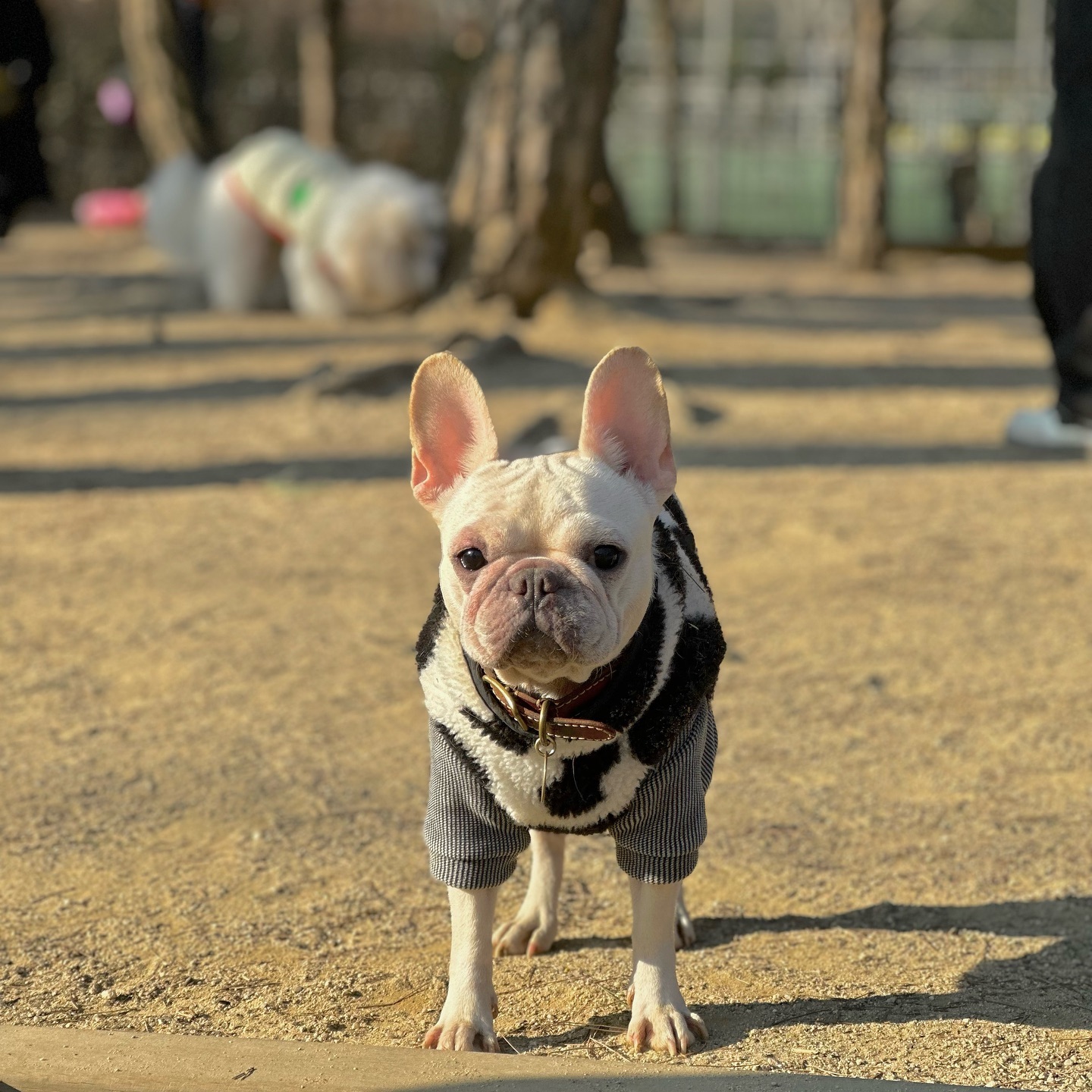 오랫만에 정면사진🫶