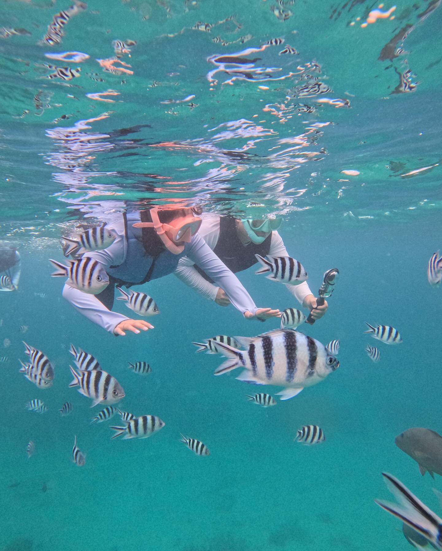 10장으로 꾹꾹 눌러담은 괌여행🇬🇺🐟🏊🏻‍♂️🌊🩵

하루종일 스노쿨링하고 밥먹고 쇼핑하고 호텔수영하고 야식먹고 무한반복♾️

일주일동안 알차게 잘~~놀았다!!🥹🩵🩵🩵🩵

#괌 #신혼여행 #신혼쀼