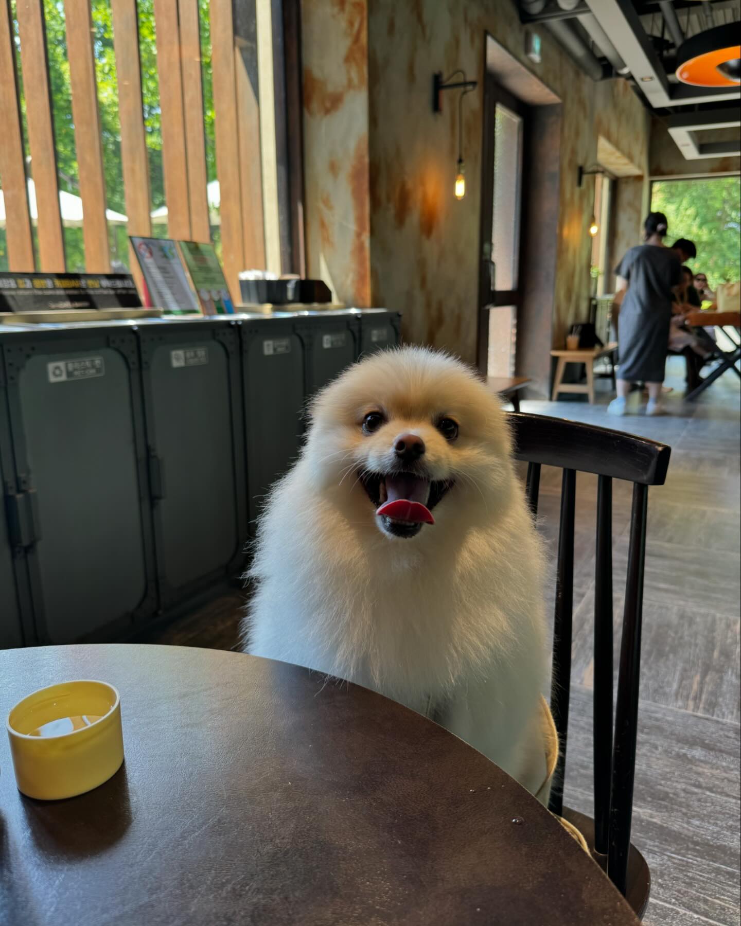 가평 놀로가따와찌〰️🌳💚