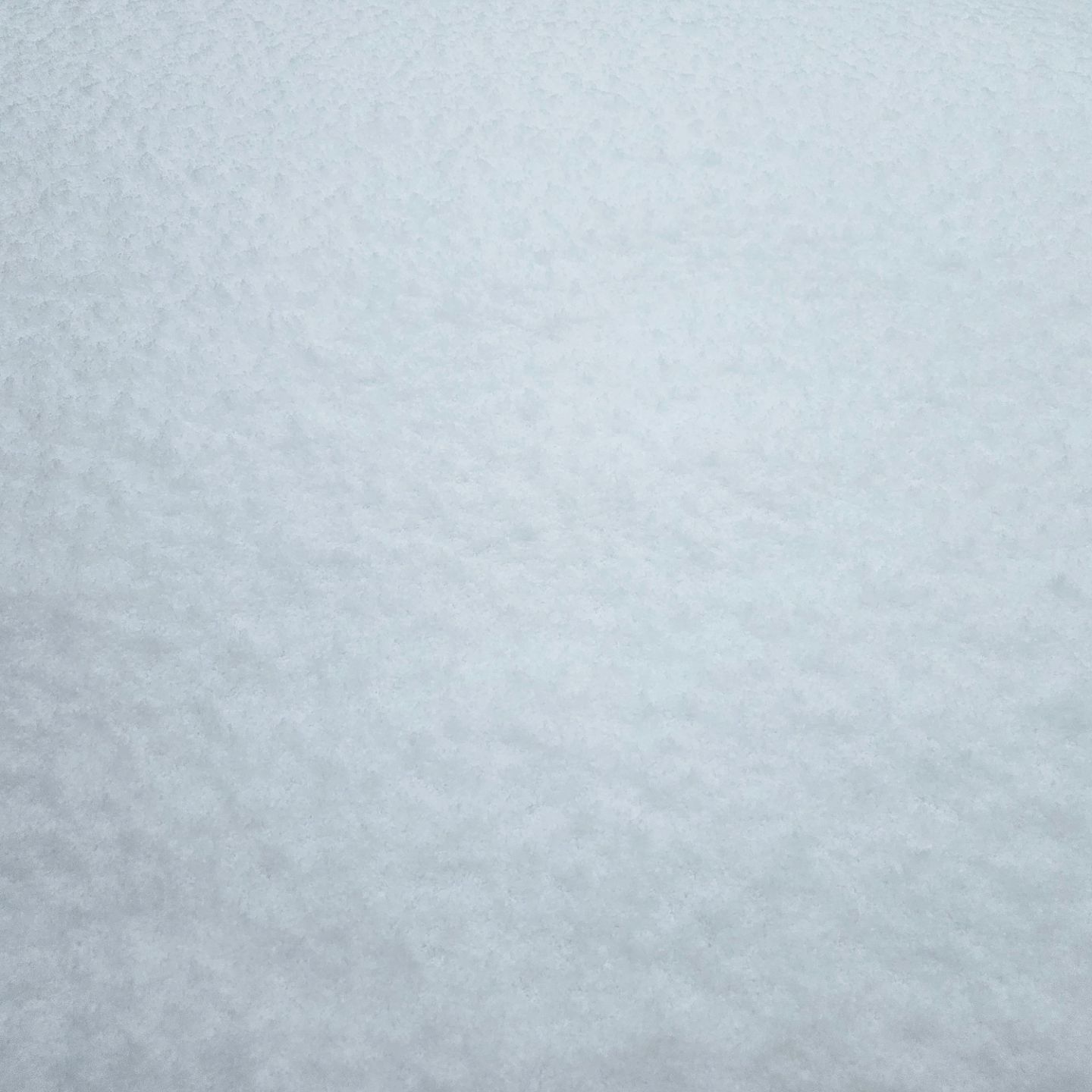 🌨❄️

녹기 전에 찰칵, 아무도 밟지 않은~

#daily #데일리 #일상 #일상공유 #일상그램 #인스타일상 #일상담기 #인스타데일리 #일상기록 #일상소통 #맞팔 #선팔 #선팔하면맞팔 #소통