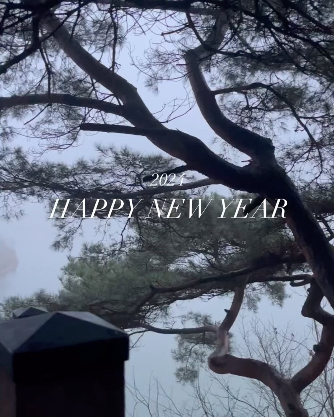 1. 2024년은 치열하게 행복한 일 가득하길 바라며 💌 

2. 귀염둥이와 처음 가는 지역마다 쭈꾸미 맛집 방문중 🐙🦑
(쭈꾸미아저씨 , 쭈꾸미아줌마 ••• 다음은 ? )

3-4. 이와정 가려고 충주왔다 ! 다음엔 매장에서 즐겨야지 🥐 

5-6. 충주, 하면 서유숙펜션 🛖
아쉬운대로 카페 왔는데 기대이상으로 만족 충족 💛 

7. 충주는 밤의 고장 🌰 

8. 오늘 , 말씀카드 . 귀염둥이와 처음으로 같이 미사드린 날 . ⛪️
(은지 덕분에 몇 년 만에 반주에서 벗어나 타지에서 오롯이 미사만 드렸다 . 고마운 동생 🩷)

9. 시장에서 떡국 ! 이모님이 순대 서비스로 주시면서 아가들이랬다 키키키 

10. 몸도 마음도 건강한 2024년 보내기 . HAPPY NEW YEAR 🐉

#2024 #HAPPYNEWYEAR 
#충주여행 #이와정 #이와정베이커리 #서유숙 #서유숙카페