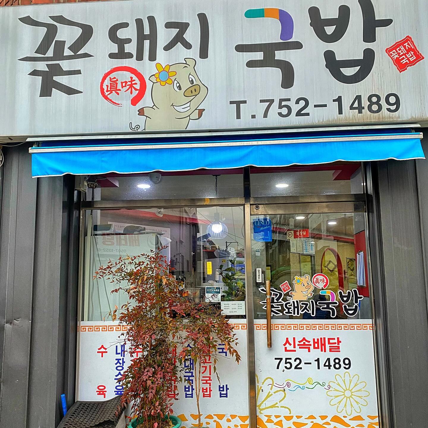광안리 꽃돼지국밥
첨 먹은게 한 4년전인가? 오픈한지 얼마안된 돼국집인줄 알았는데 알고보니 30년 넘은 돼지국밥집이였음....ㄷㄷ
처음으로 순대 시켰는데 그냥 분식순대에 찰기가 없어 좀 실망.
하지만 돼지국밥은 채고. 뽀얗게 우려진 국물에 빨간 다대기가 들어간 걸죽한 국물이 진하고 간이 살짝 되어있음. 다대기가 쌈장 베이스라 살짝 단맛도 나서 호불호없이 다 잘 먹을듯? 색깔에 비해 맵진 않고, 냄새 안나고 담백함. 또 고기양이 좀 많은 편이고 살코기랑 비계 비율도 좋다요.
밑반찬인 마늘도 다 손질해서 나오고 양파도 아삭아삭한게 신선함.
.
.
.
#예동_꽃돼지국밥
#예동_광안리 #예동_민락동
#예동맛집
#꽃돼지국밥 #광안리 #광안리밥집 #부산돼지국밥 #부산돼지국밥맛집 #부산돼지국밥로드 #광안리돼지국밥 #돼지국밥 #돼지국밥맛집 #동방오거리 #동방오거리맛집 #민락동 #민락동밥집 #민락동맛집 #광안리점심 #부산광안리 #부산광안리맛집 #부산로컬맛집