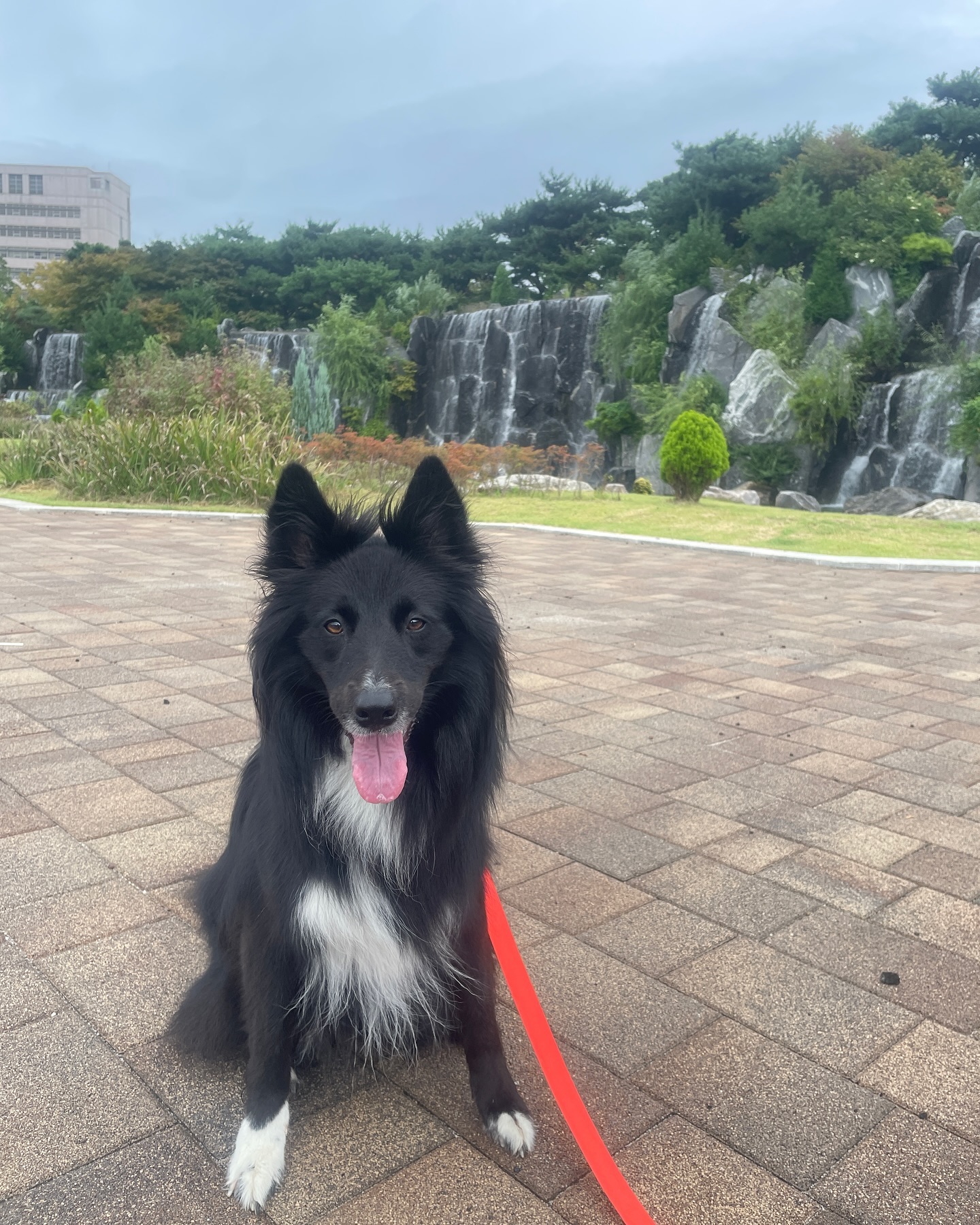 귀염둥이♥️ 
맨날 귀엽지😘😘