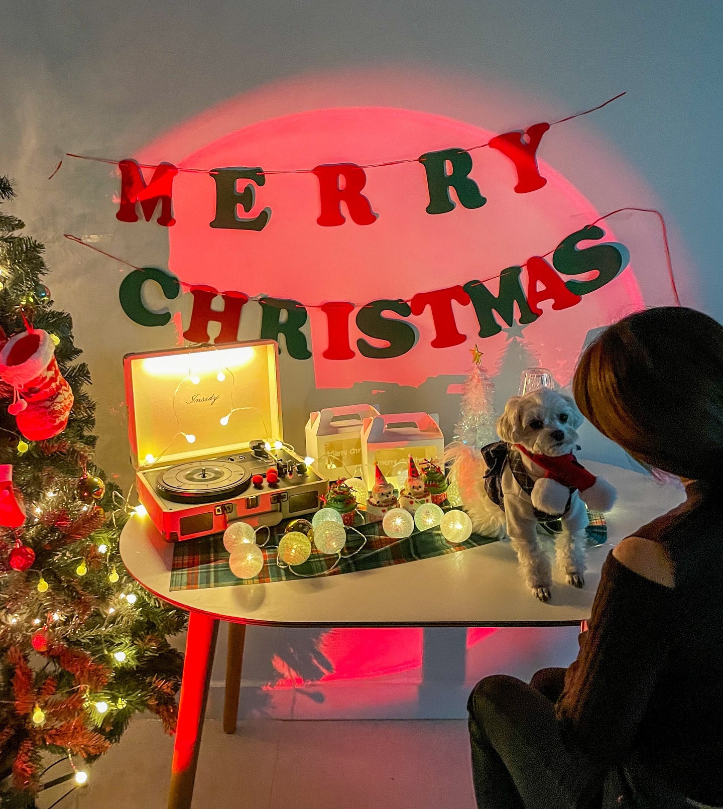 미리크리스마스🐶🎄