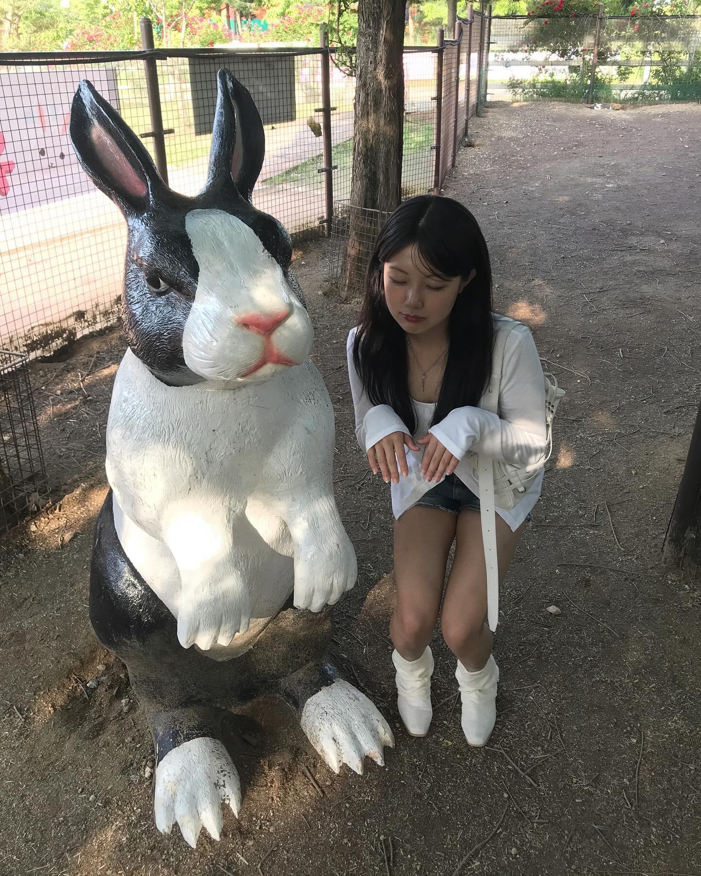 🐰🍀
