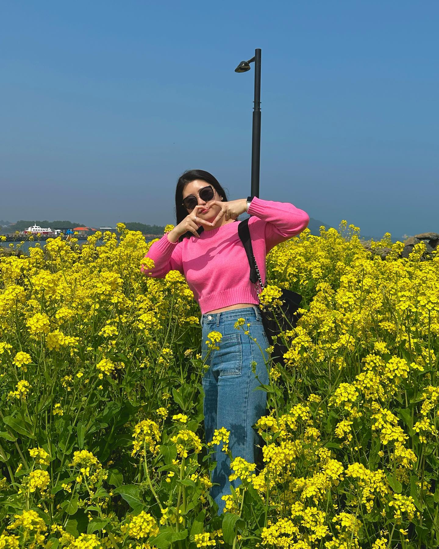 🌼🌼