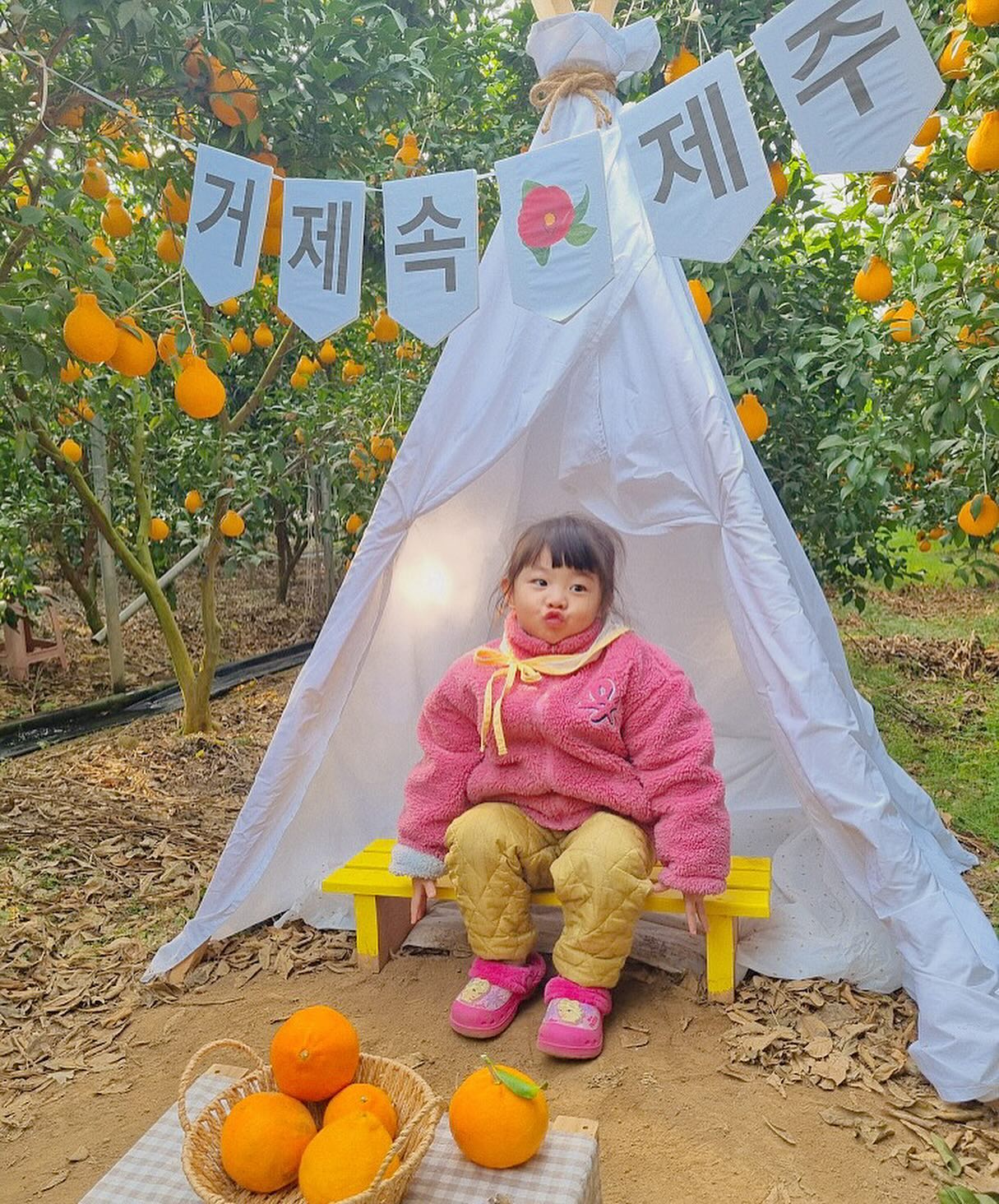 🍊감귤아가씨ღ
유치원 가기전에 많이많이 놀자〰️🍊🍊