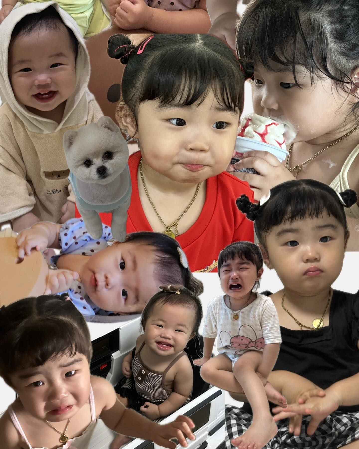 👧🏻 D+803 👶🏻D+274

우와 방학 아직도 안끝났넹 ,, 🥵🥵