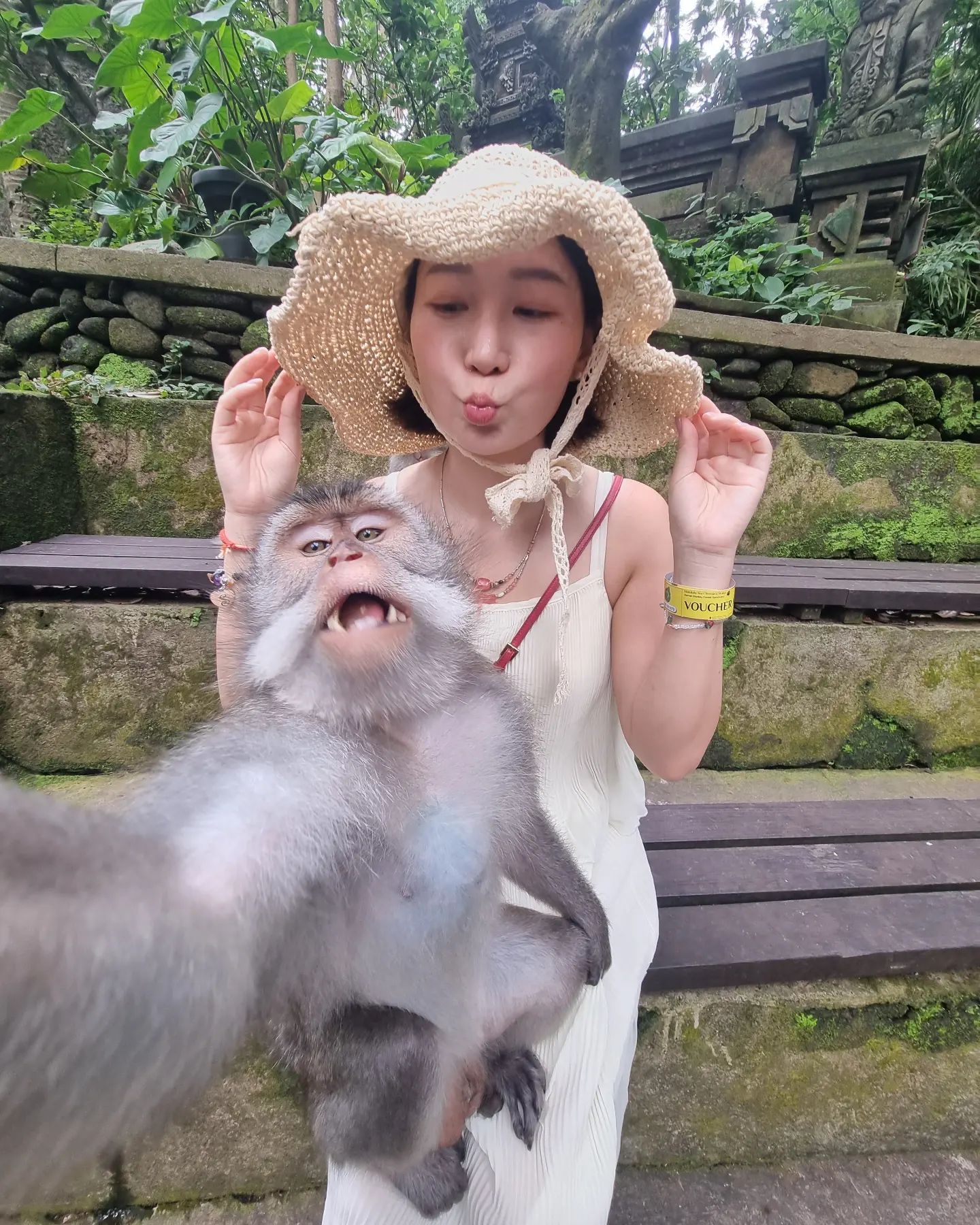 🐵원숭이랑 같이 셀카 찍음
숭이가 나보고 같이 찍쟤🐒

#monkeyforestbali #monkeyforestubudbali