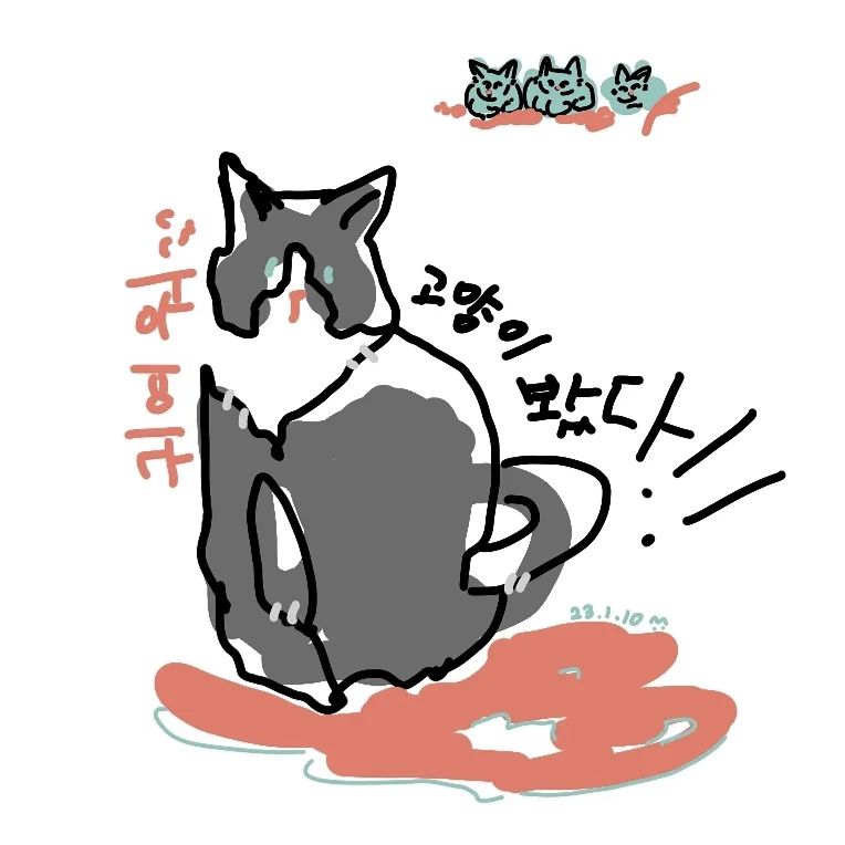 야옹아 좀 뭉쳐봐봐.. 
카메라에는 안 담긴단말이야

따뜻하고 귀여운거 다하자....
#겨울 #잘보내야해 #야옹아 #고양이스타그램 #먛이먹으렴
#catlover #cats_of_world