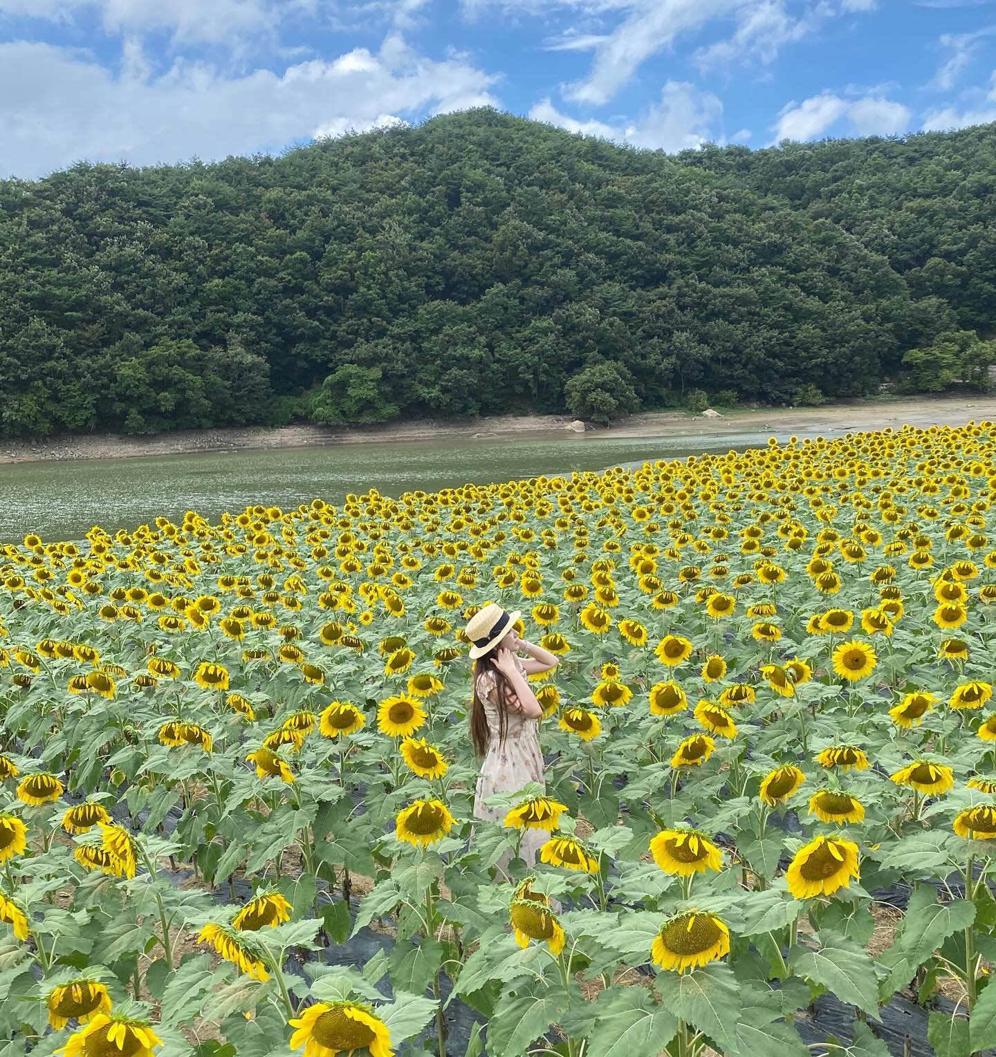 🌻
 
 
#경주여행 #해바라기밭 #경주카페 #경주가볼만한곳