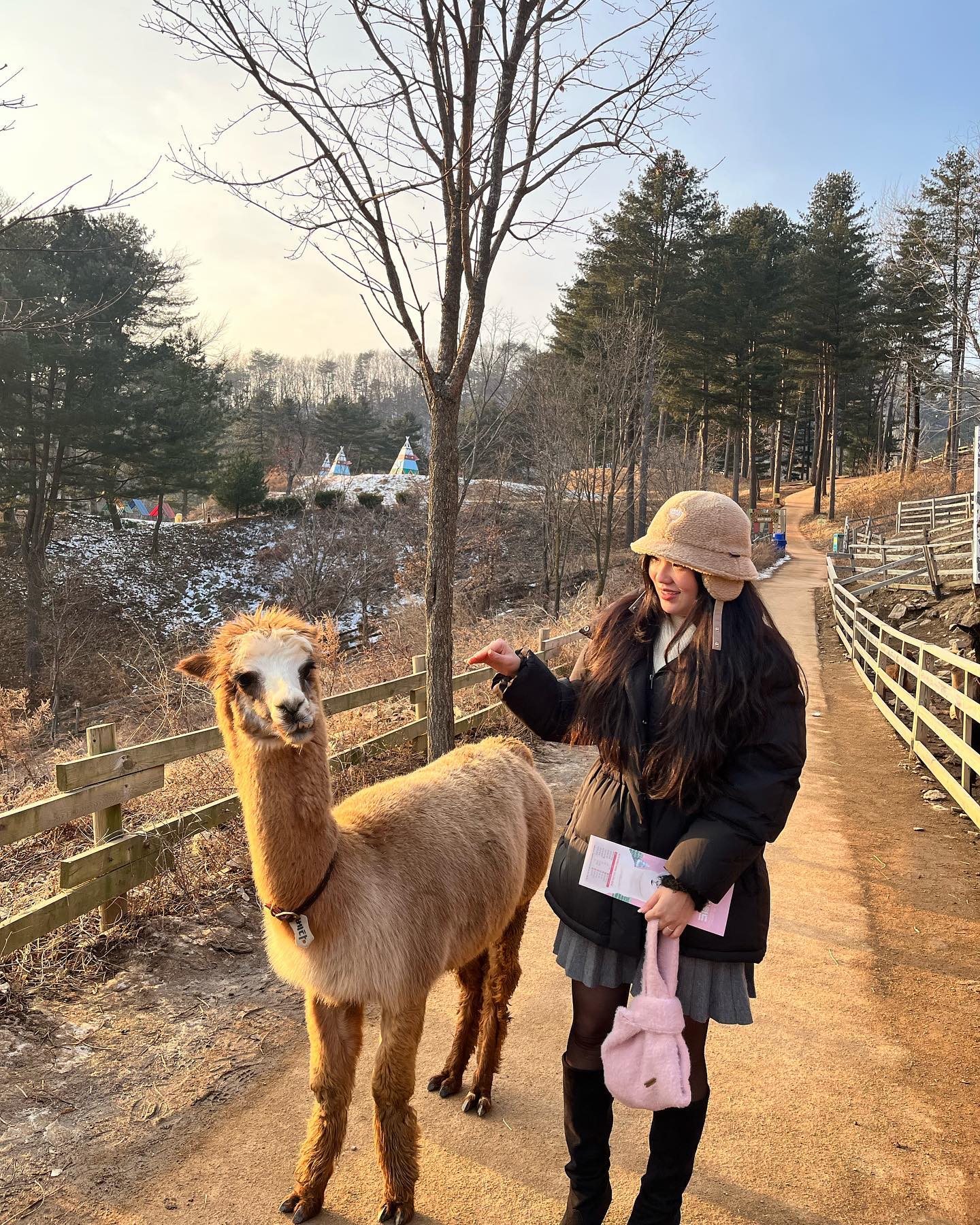 알파카월드🦙