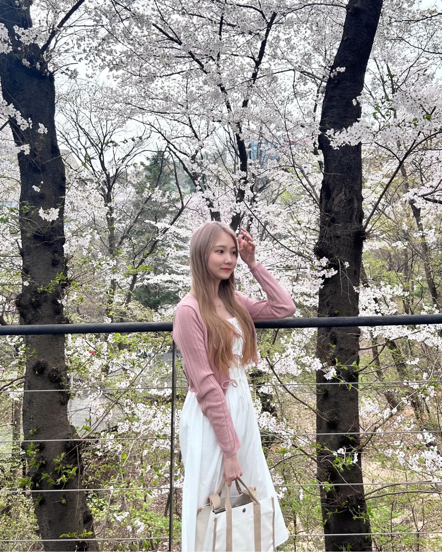 어딜가나 꽃 축제 ,,🌸🫠
