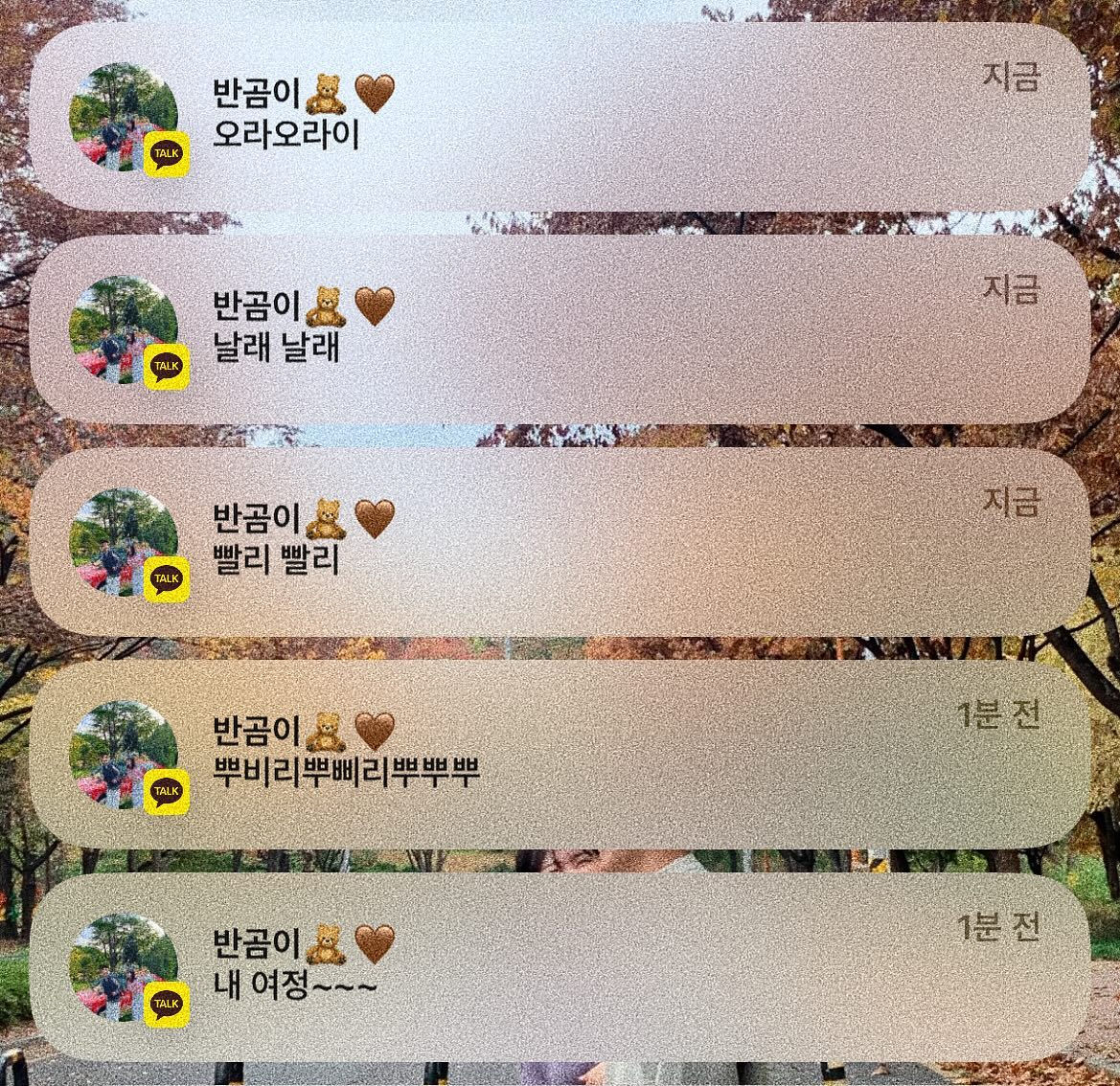 쉬는날이면 늘 애타게 찾는다...ꈍ◡ꈍ 
듬직한 곰 아니고 내눈엔 귀여운 반달곰🧸🤎