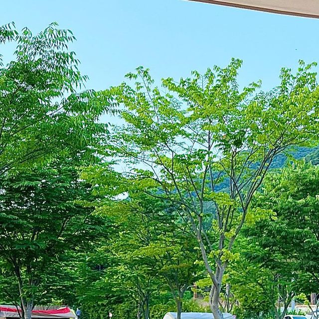 박혜선 on Instagram: ”#광고#제품제공 더운 여름에 저희 가족👨‍👩‍👧‍👦은
캠핑장에서 1인 1선풍기가 필수인데요 이번에 협찬받은 #노닥써큘레이터 를 소개해드릴게요 😁 🔖 노닥포레스트 _ 노닥 써큘레이터 ✅ 써큘레이터 + 라이트 = 써큘라이트 캠핑짐이 많아 고민인 캠퍼들을 위해 두가지 기능이 결합되어 시원한 써큘레이터 기능을 하면서 밤에는 라이트 기능으로 사용할 수 있어서 저도 이번 캠핑때 랜턴 대신 사용했는데 엄청 밝았다는‼️ 거기에 밝기 조절까지 되서 늦은 시간에도 사용하기 좋았어요 😄 ✅ 블루투스형 리모콘 노닥써큘레이터 리모콘은 10M 블루투스 페어링 방식으로 장애물이 있어도 원거리 조작이 가능하고 저력으로 헤드에 부착이 가능해서 분실 걱정이 없어서 저희도 잘때 타프팬 대신 사용했는데 리모콘으로 조작했더니 너무 편했어요 👍 ✅ 강력한 바람(4단계), 저소음, 대용량 배터리(10,00mAh) 다른 써큘레이터와 다르게 7엽 날개라 바람이 더 시원하고 BLDC 모터로 소음까지 적어서 여름캠핑에 딱 좋고 용량까지 넉넉해서 한번 충전하면 오랫동안 사용할 수 있으니 귀차니즘이 심한 저한테는 안성맞춤이였답니다 💜 📌 위생을 생각해서 분리형 안전망이라 한번 구매하면 오랫동안 사용가능한 노닥써큘레이터 💯💯💯 이번 캠핑은 노닥써큘레이터 덕분에 시원하게 보냈네요 🫶 Thank you @nodak_forest #캠핑선풍기#캠핑써큘레이터#캠핑필수품#노닥써큘레이터#노닥선풍기#캠핑템#캠핑템추천#캠핑선풍기#캠핑선풍기추천#캠핑#camping#여름캠핑#여름캠핑용품”