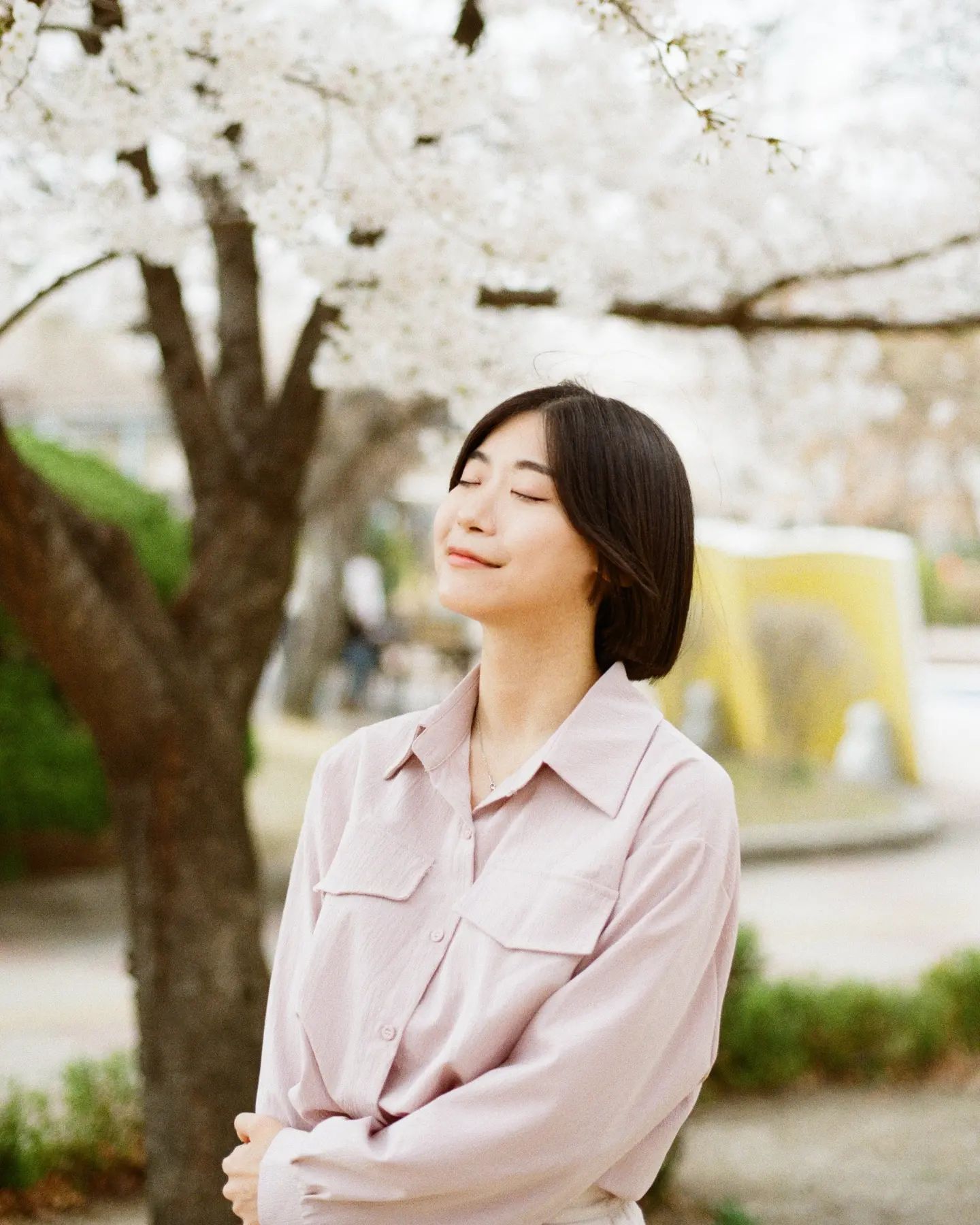 봄이지롱 ❀.(*´▽`*)❀.
 
photo by renee_snap