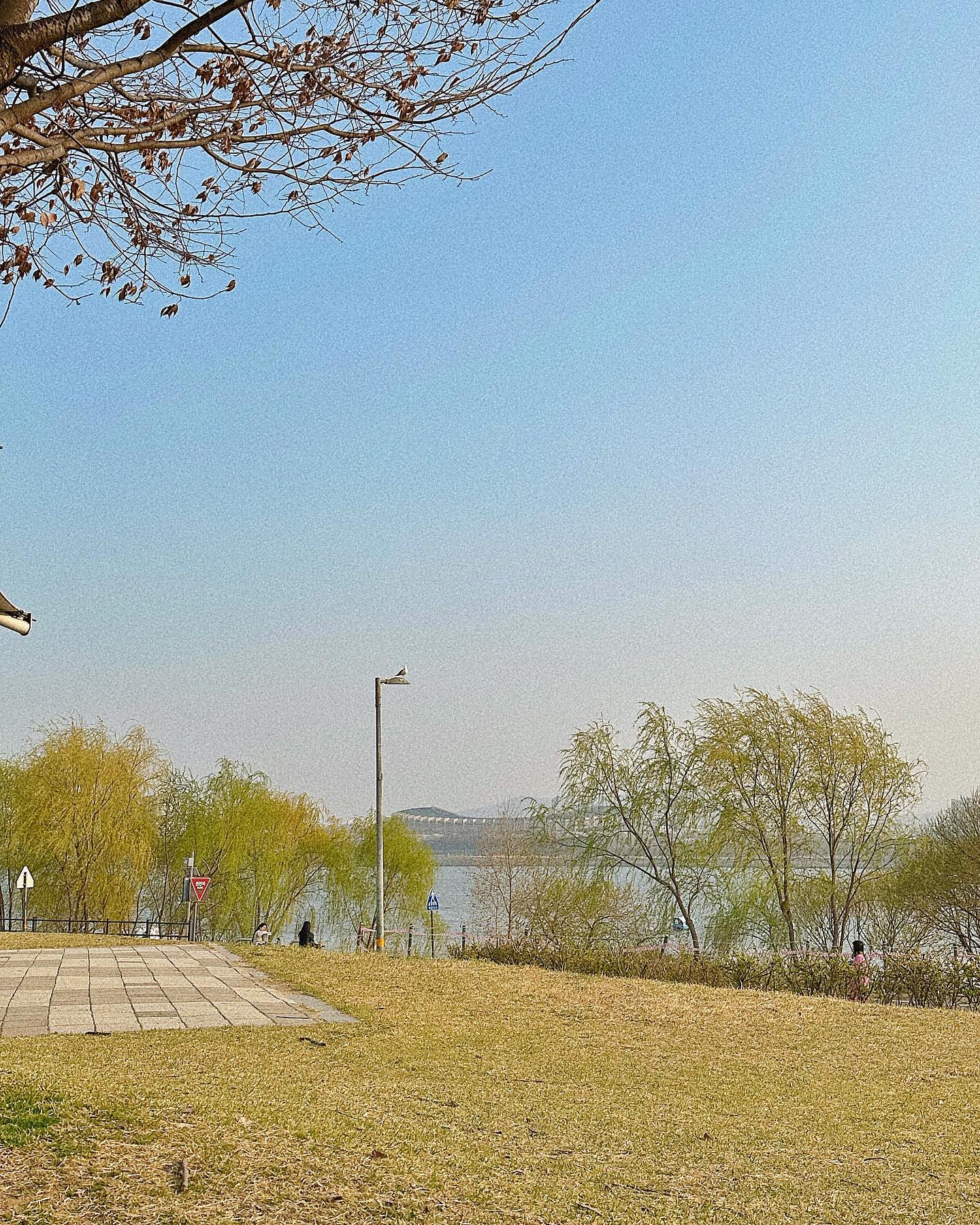 #첫줄 
한강🌸