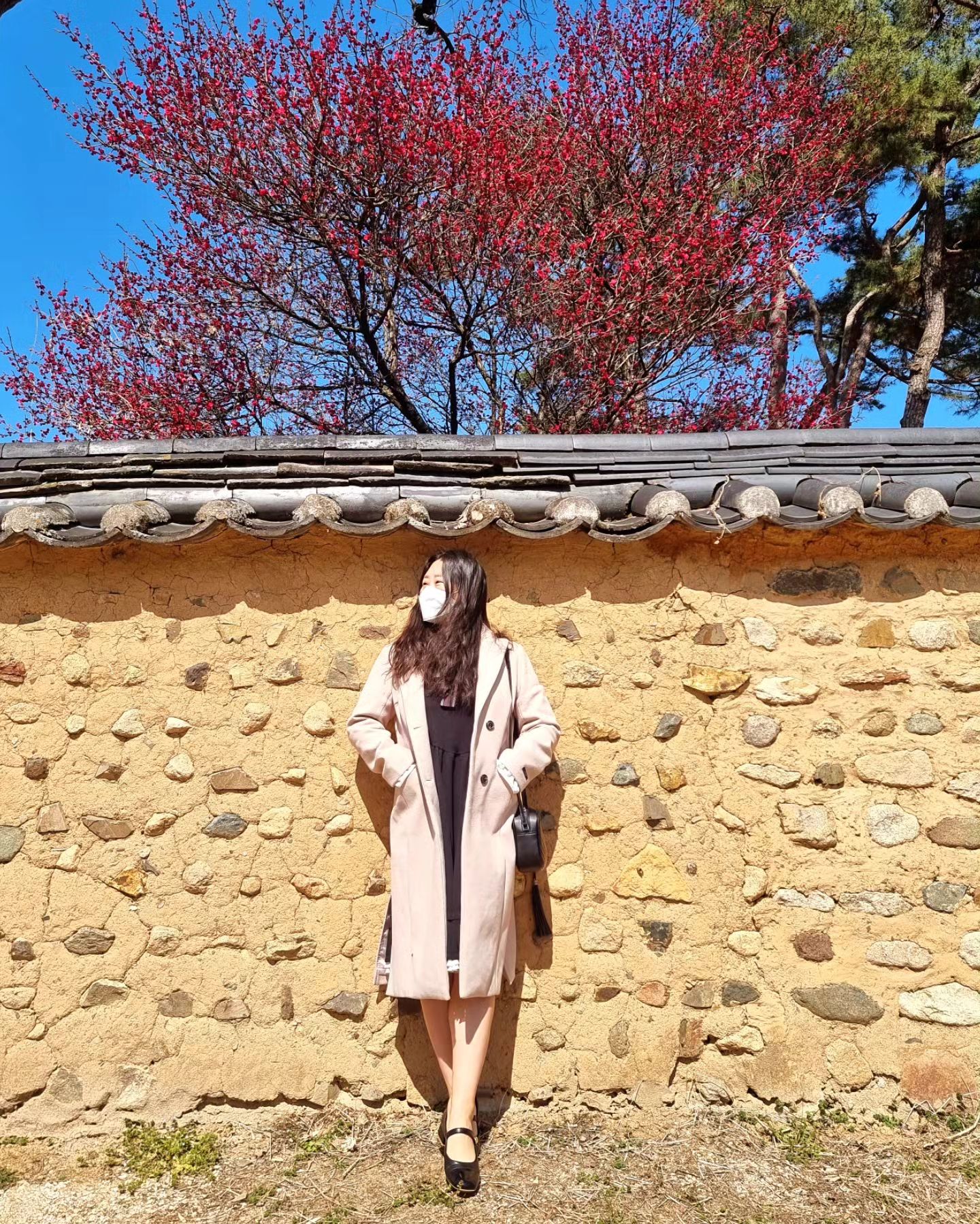 2024.03.09
입구에 목화밭도 잇엇고
잠시 산책하기 좋은 곳.
#밀린일기#지난일기#남평문씨본리세거지 #대구홍매화