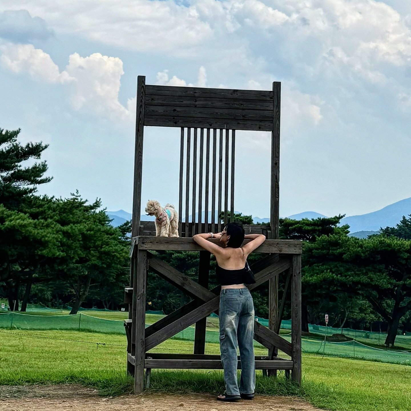 ㅤㅤㅤㅤ⠀
잔디 퐁싱퐁싱 좋아💚