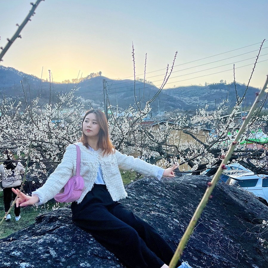 매실 러버

#광양 #매화축제🌸