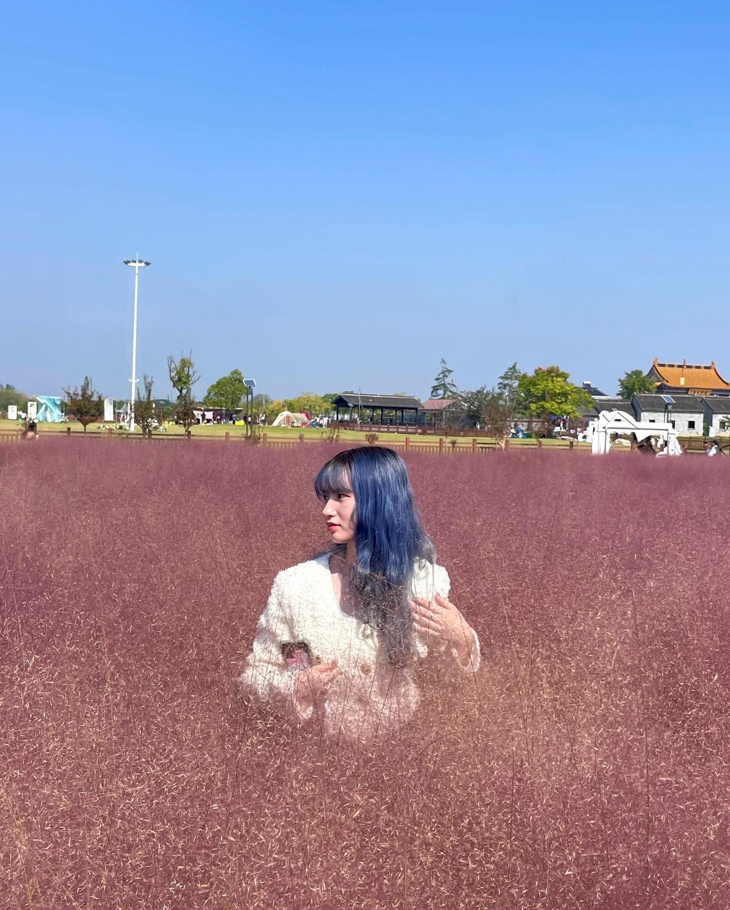 나도 봤다 핑크뮬리🩷