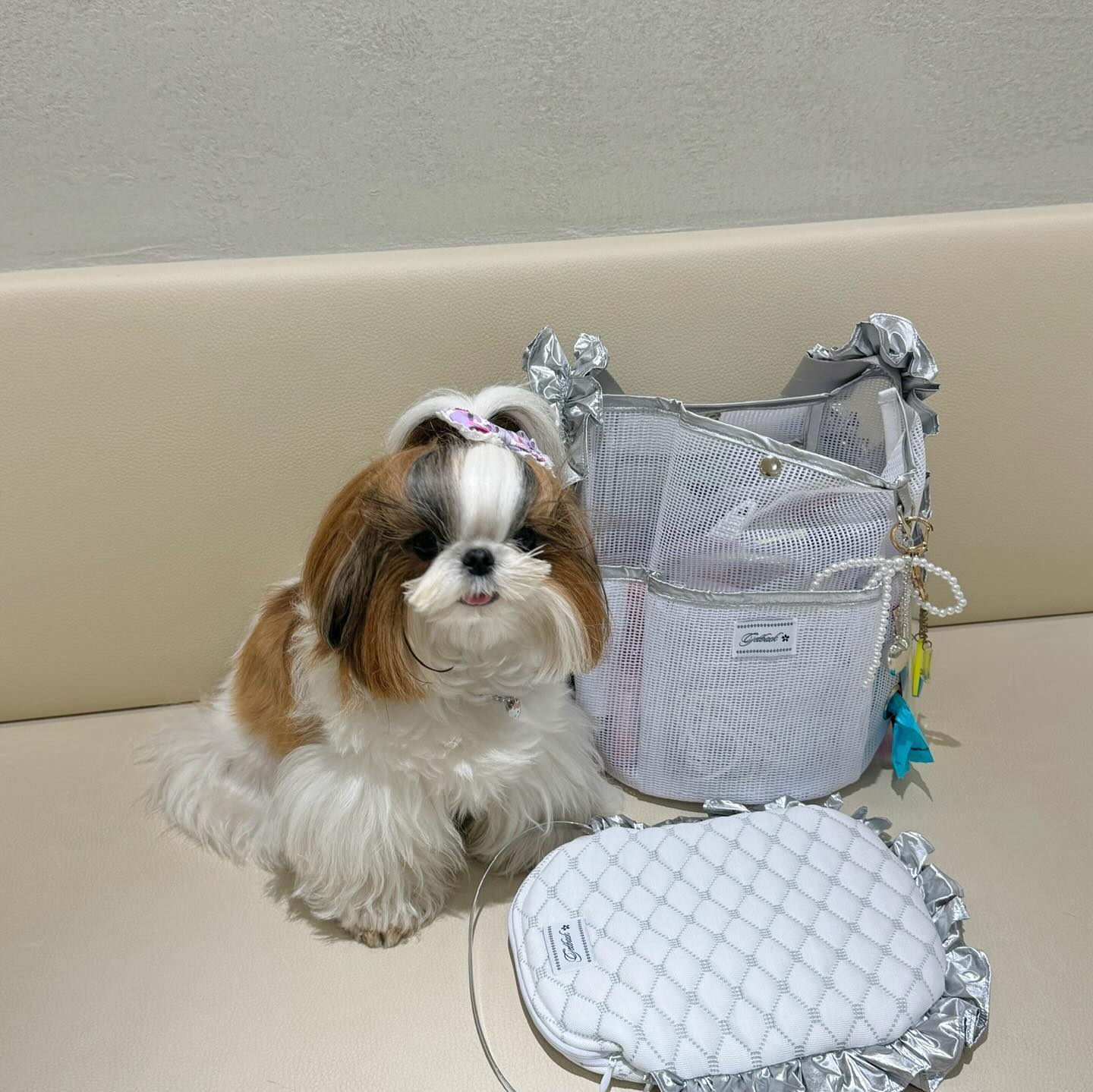 모내 새 산책가방에, 
모내도 신나고 모내언니도 신나찌 모야

수납력 완전 짱짱한데, 아무옷에나 툭 걸쳐도 센스있는 디자인
말해모해 😶‍🌫️🤍

이번에도 #겟백이겟백했다 ✨