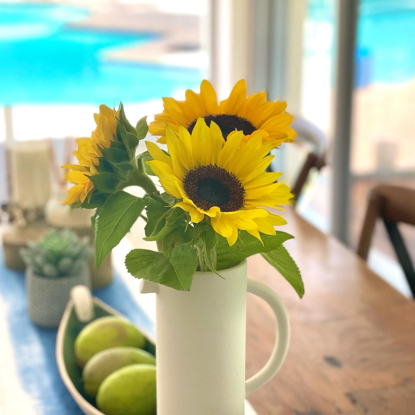 Life is better with sunflowers 🌻🌻💛🧡❤️
Have a wonderful day! 🤩🥰😘🎶

•
•
•
•
#sunflower #homedecor #iloveflowers #wednesdayvines #summervibes #beautifulday #grateful