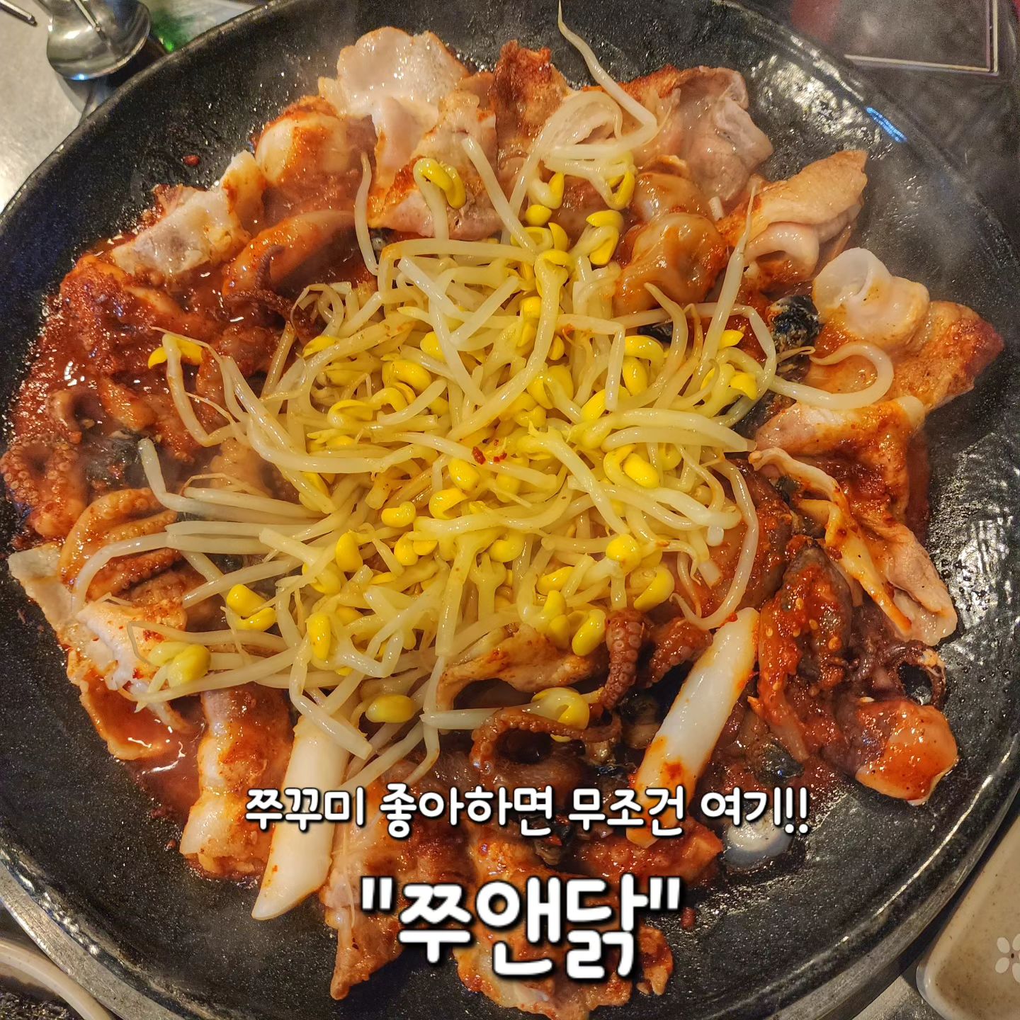 ✅ 경기광주 양벌동 "쭈앤닭"🐙🥩

양벌동에서 쭈삼을 찾는다면 닥 여기!!!💥

양벌동에서 꽤 오래 자리한 가게에요!

동네주민들은 쭈삼을 여기서만 먹는다구욧👍

이 곳은 특별하게 쭈꾸미+삼겹살 뿐만아니라
차돌박이, 새우, 닭으로 새로운 조합 가능🫶

가격도 굉장히 착해서 두번 세번 오게되는 곳❤️

✔️ 쭈꾸미 + 삼겹 12,000원 (1인 기준)
 (차돌박이는 2,000원 추가🥩)

★매운맛 조절 가능해요! (보통, 매운, 아주매운)★

전 늘 보통맛으로 시켜먹는답니다👍
적당한 매콤함에 맵린이 올킬 가능💥

일단 쭈꾸미가 살이 탱탱하구 큼직해서
입안에서 탱글탱글 톡톡 터져여..❤️

게다가 함께 올려져나오는 우렁이 신의 한수✨
우렁식감 아시는 분은 꼭 오셔야 할듯 합니다..👍
쭈꾸미 못지않은 탱글한 식감❤️

삼겹살도 너무 얇지않아서 
씹는 맛도 있고 양도 굉장했어요!✨

일단 양념이 감칠맛 대박이라서 
먹자마자 볶음밥부터 떠올라버린거 사실이라구요!!

그리고 주문하면 부추전과 계란찜이 나오는데

여기는 부추전 맛집이 틀림없습니다..👍

진짜 바삭바삭하고 고소한게 술생각나는 그런맛🍻

정말 경기광주는 넓고 맛집은 왜이리 많은지..❤️
그 중 쭈삼 맛집은 단연 여기에요😍

#쭈앤닭 
🏠 경기 광주시 양촌길 174-6
⏰ 매일 17시 ~ 00시